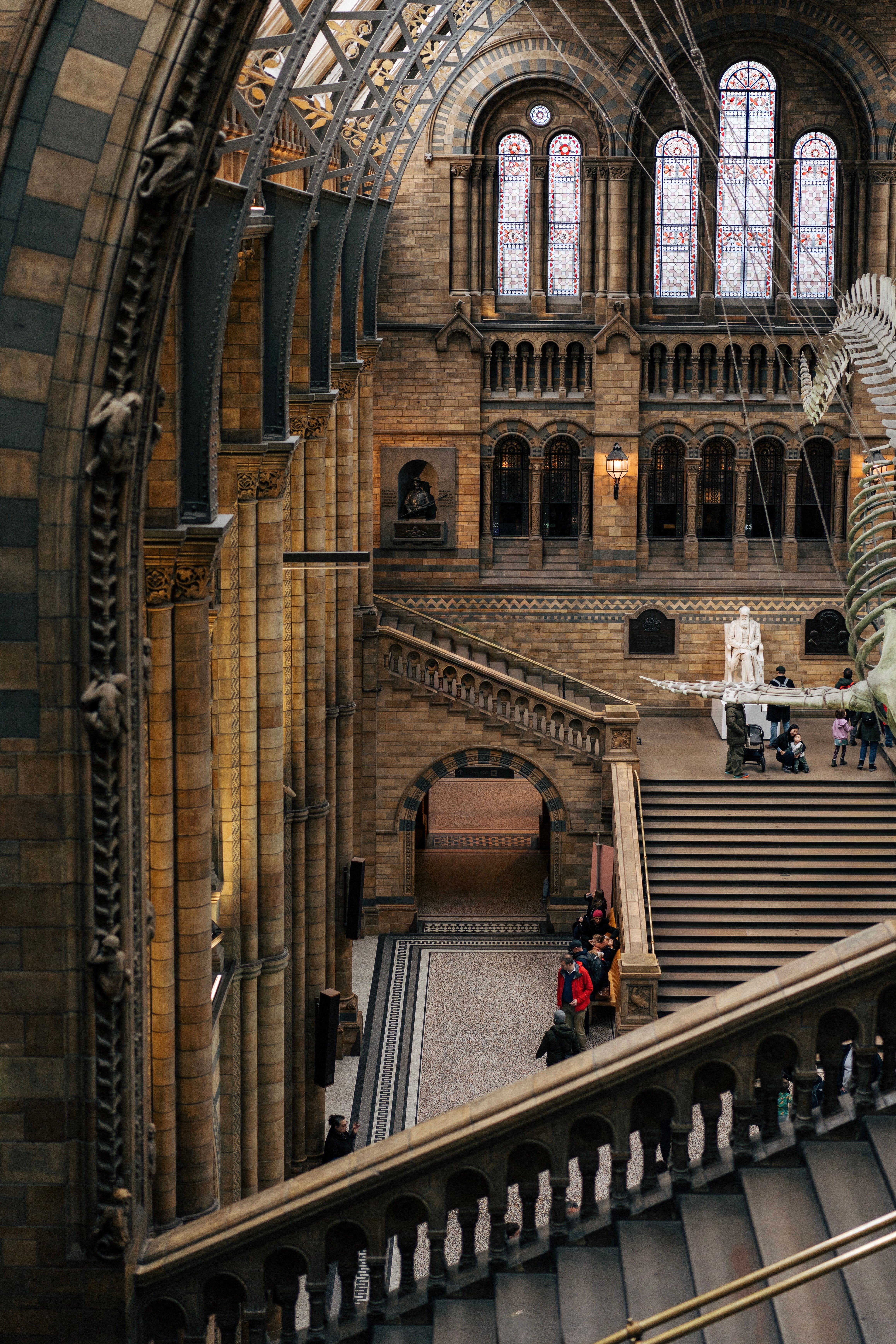Interior View of Natural History Museum in London · Free Stock Photo