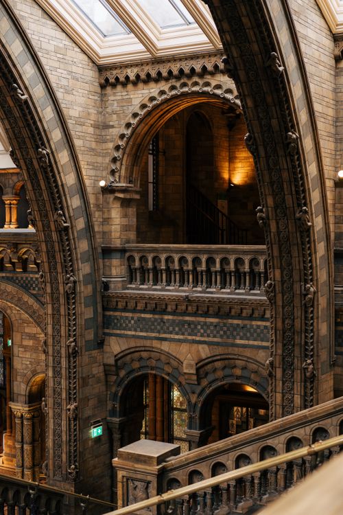 Free Intricate Gothic arches inside a historic London building. Stock Photo