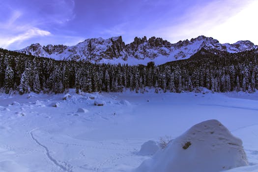Breathtaking view of snow-covered mountains and forest captured during winter.