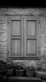 Black and white image of a rustic wooden window surrounded by cacti.