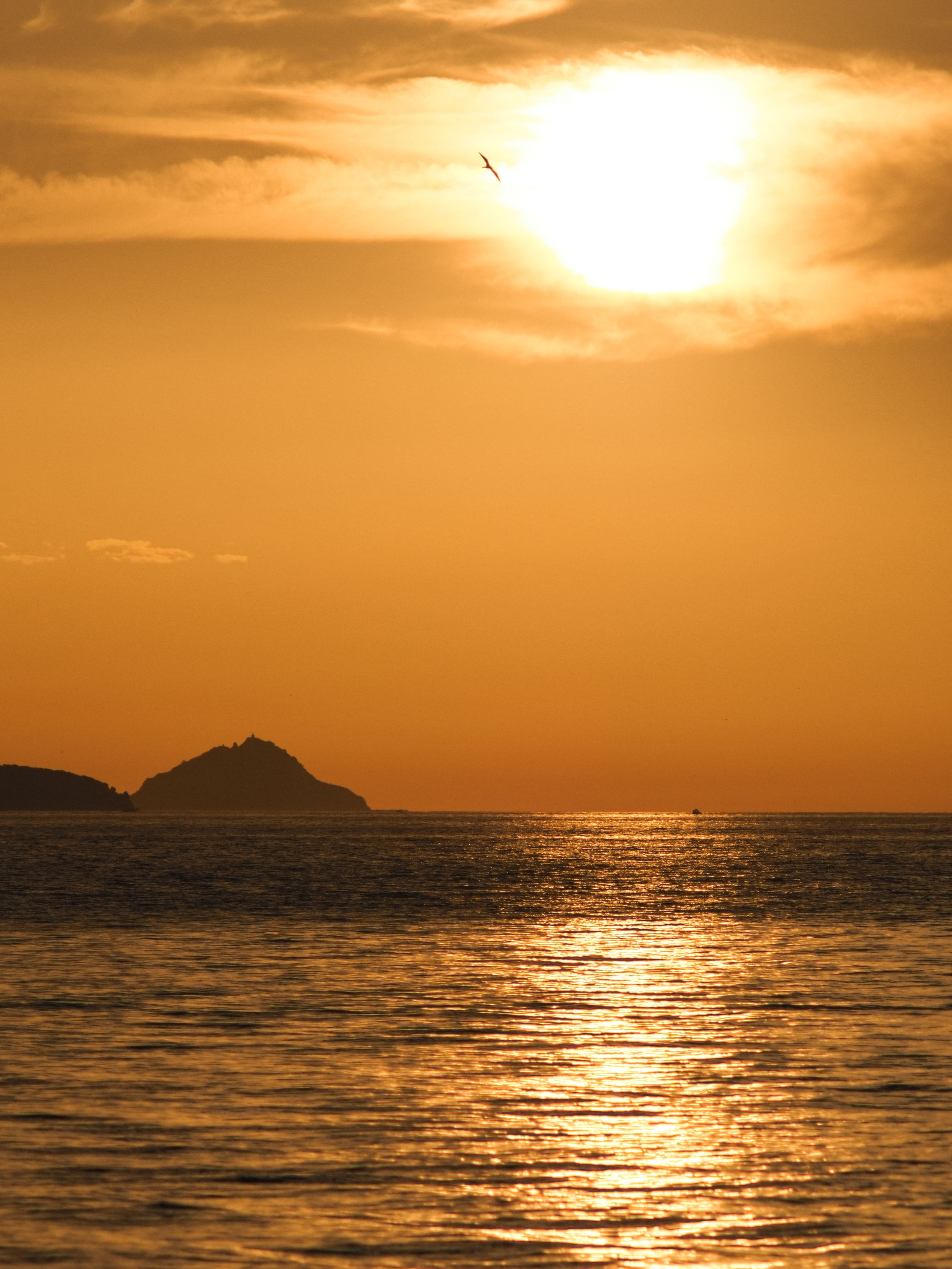 Golden Sunset Over Tranquil Ocean Horizon · Free Stock Photo