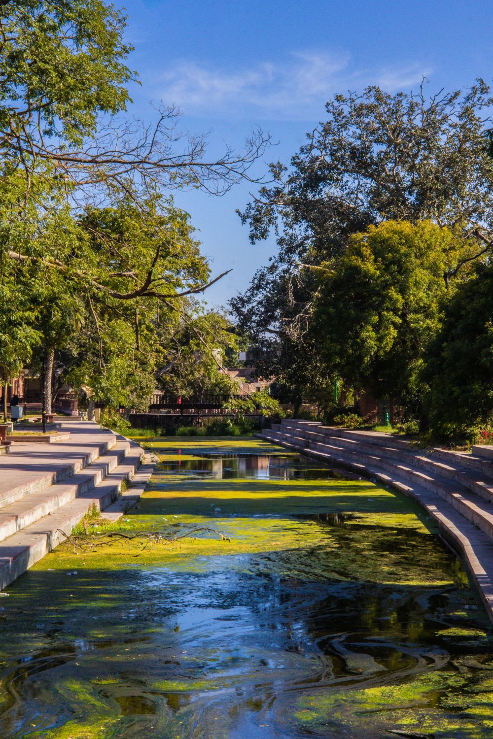 Scenic Riverside Path in Lush Park Setting · Free Stock Photo
