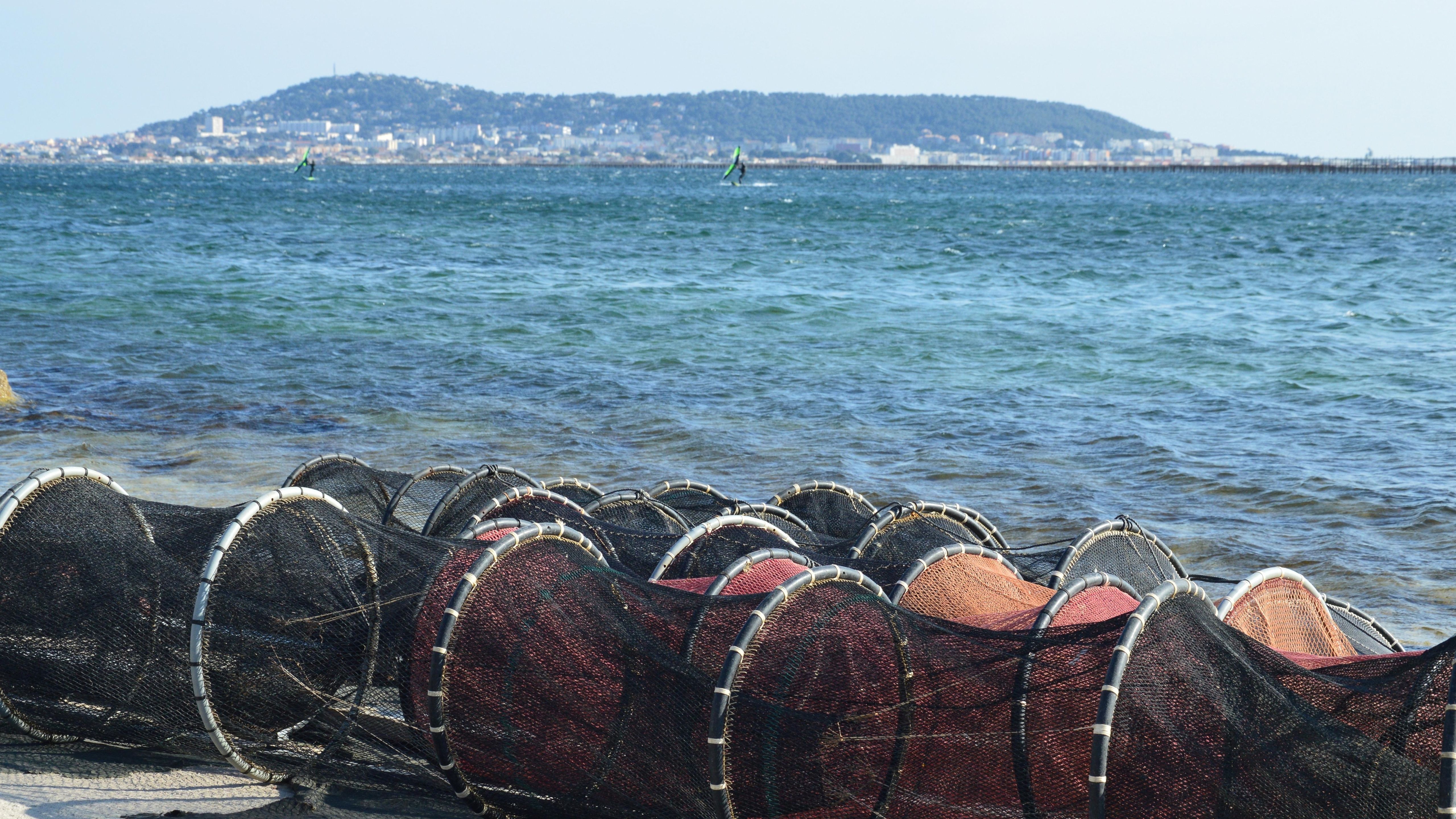 Shing Nets Photos, Download The BEST Free Shing Nets Stock Photos & HD ...