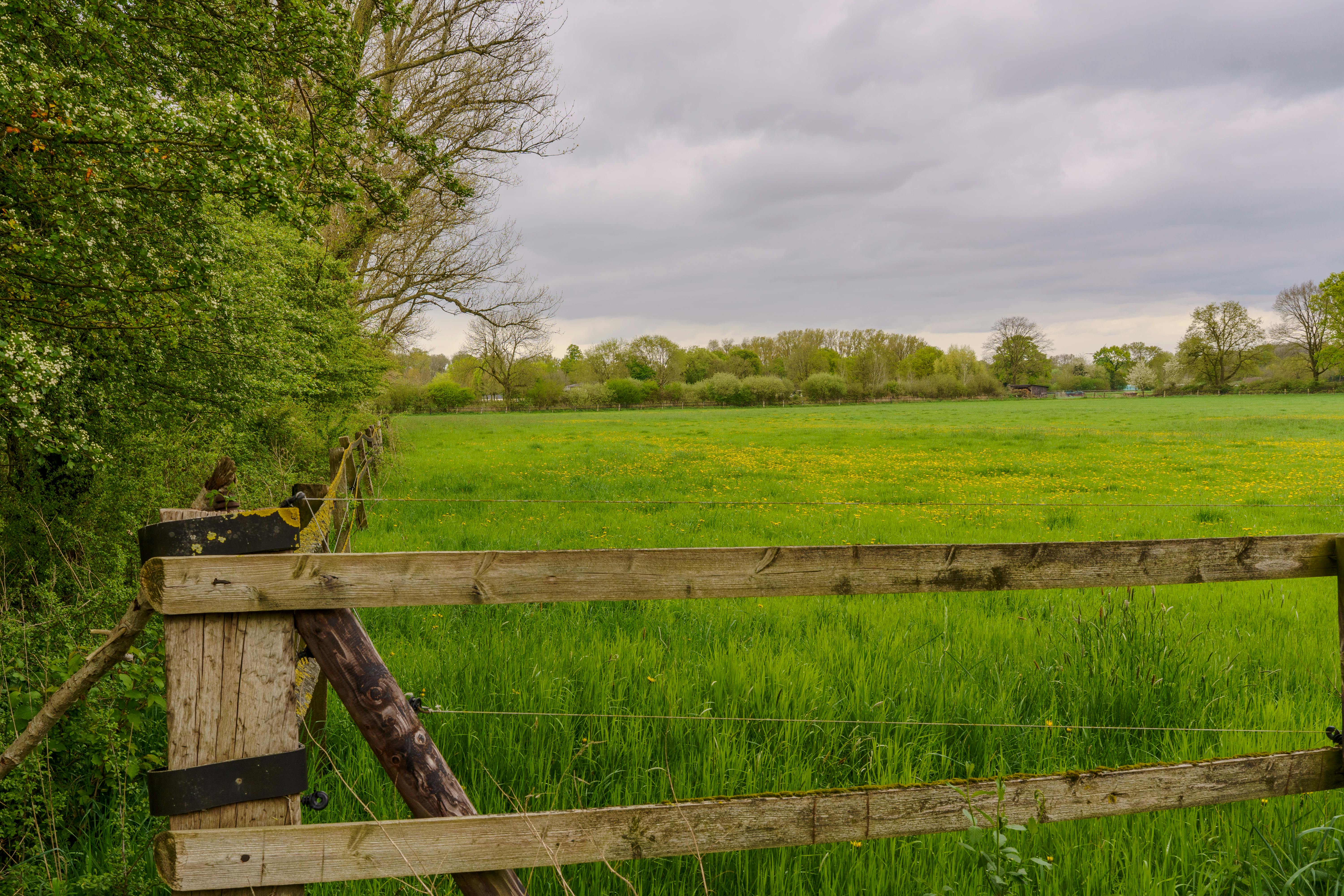 https://www.pexels.com/photo/lush-green-field-with-wooden-fence-in-spring-31695020/