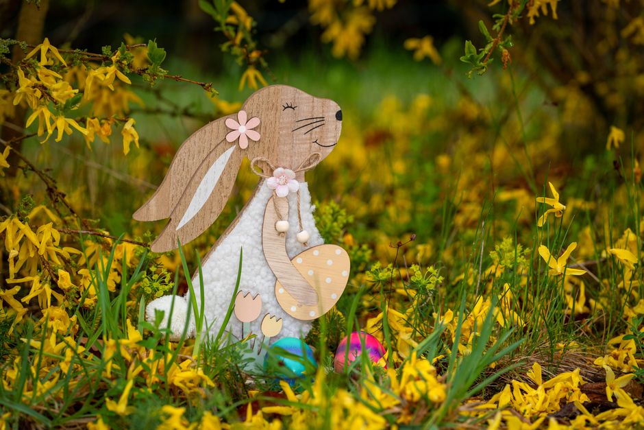 Wooden Easter bunny among blooming forsythia in a vibrant spring garden setting.