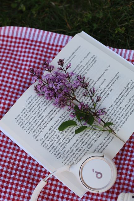 Open book and lilac flowers on a picnic blanket, serene outdoor scene.