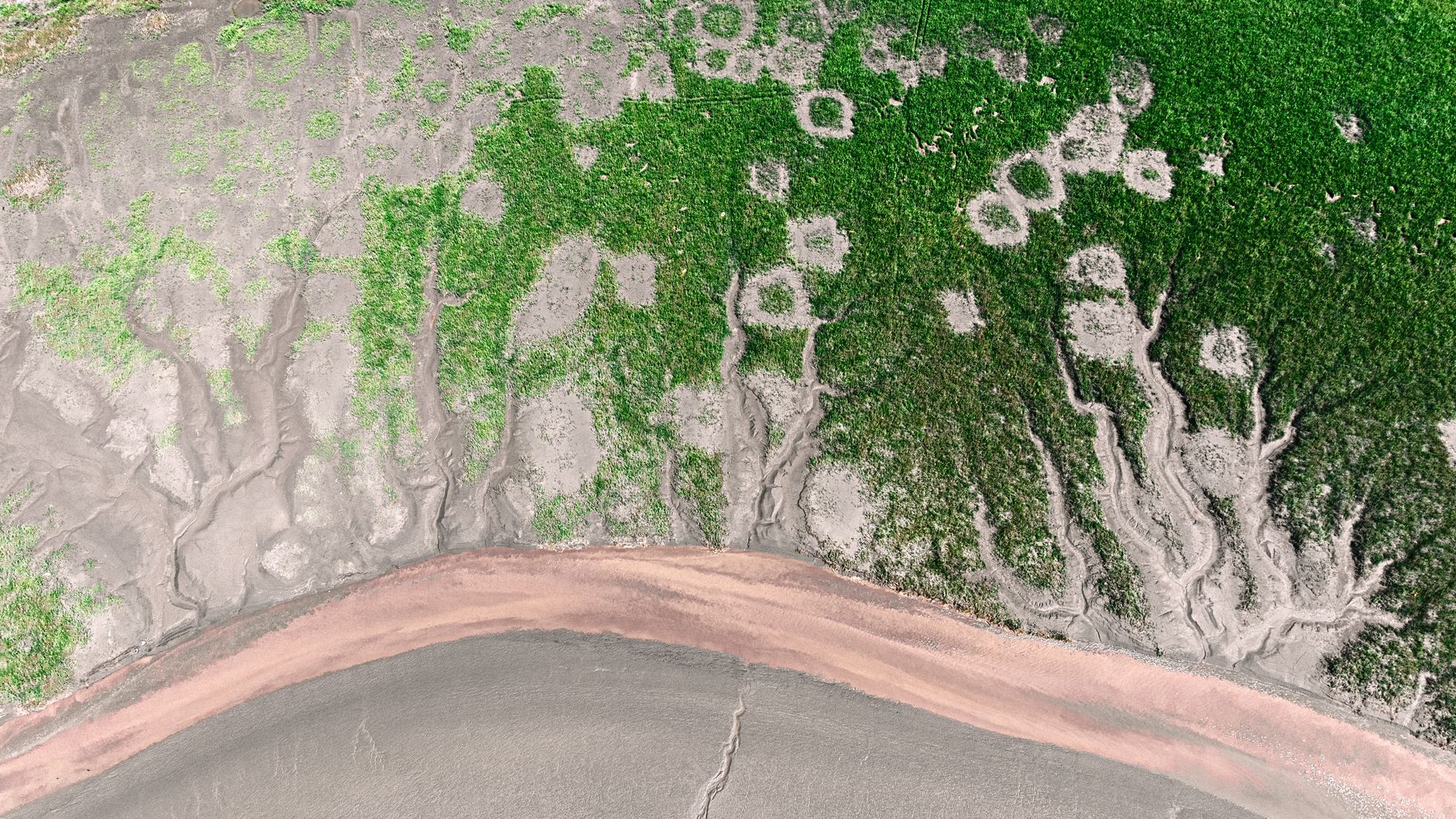 Aerial photo showcasing erosion patterns on a green and gray shoreline.