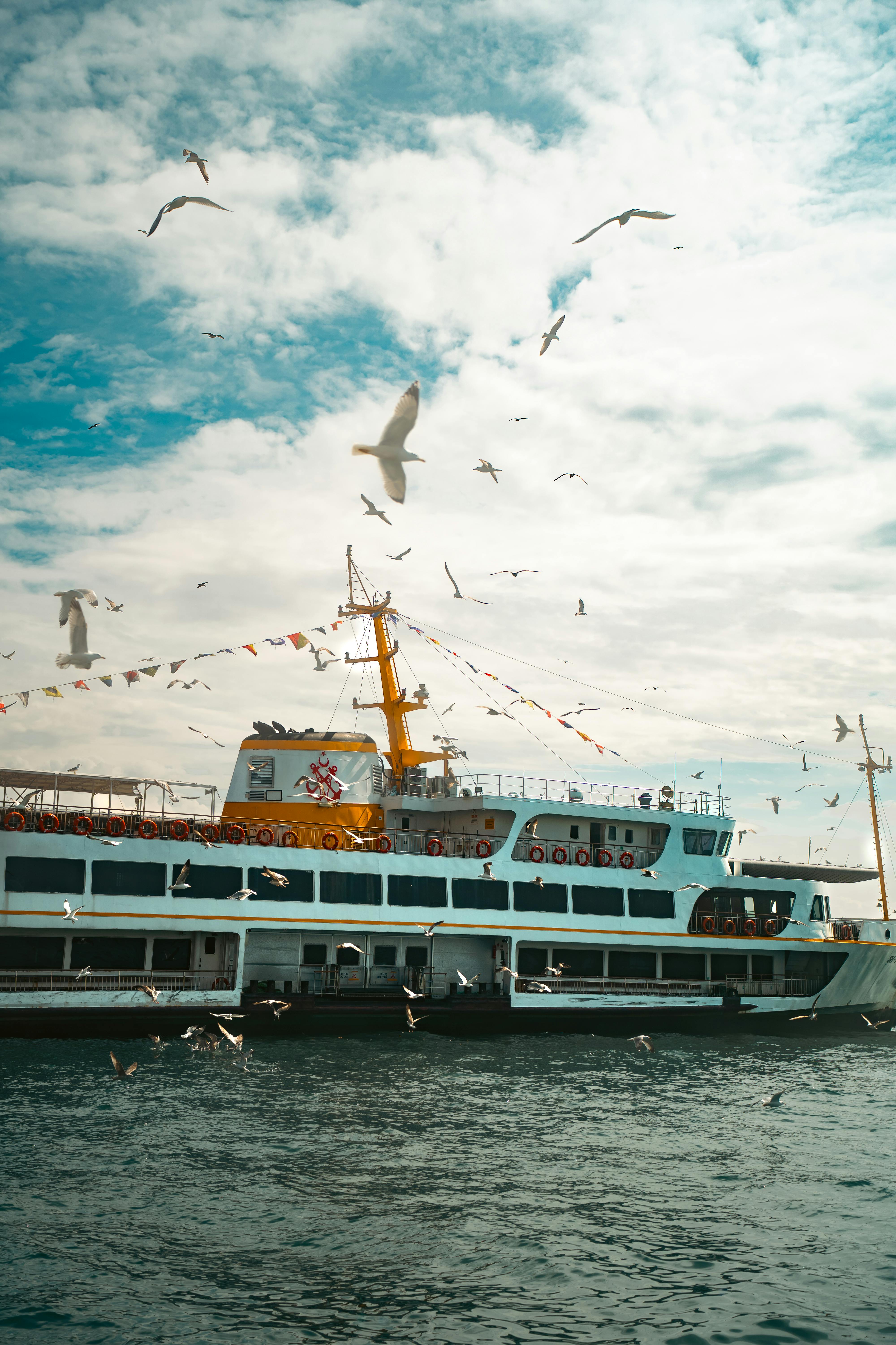 A picturesque ferry sailing with flying seagulls under a clear blue sky, capturing a serene maritime scene.