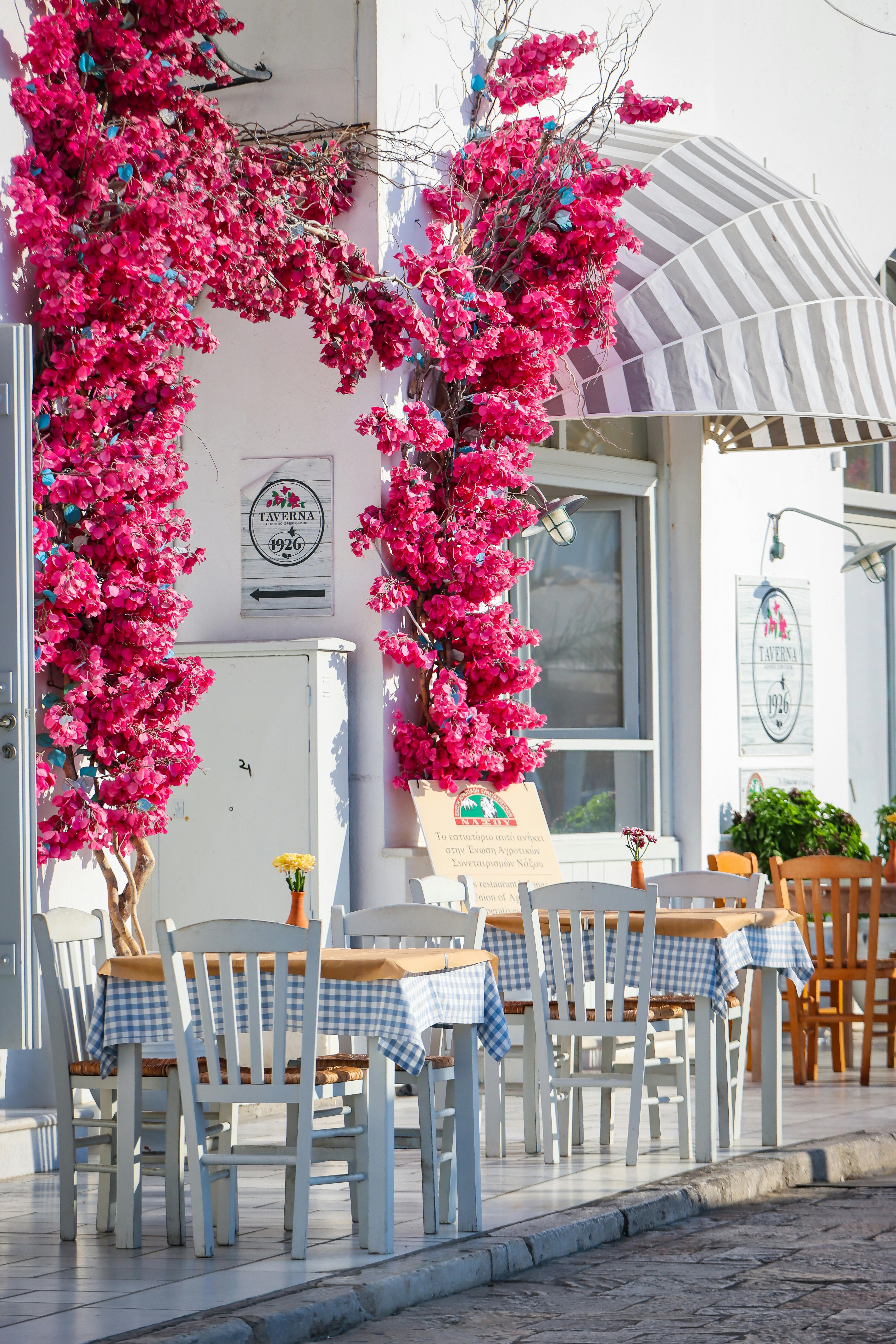 Los Errores Comunes que Debes Evitar al Solicitar el Tercer Pago de Pase-U 2024