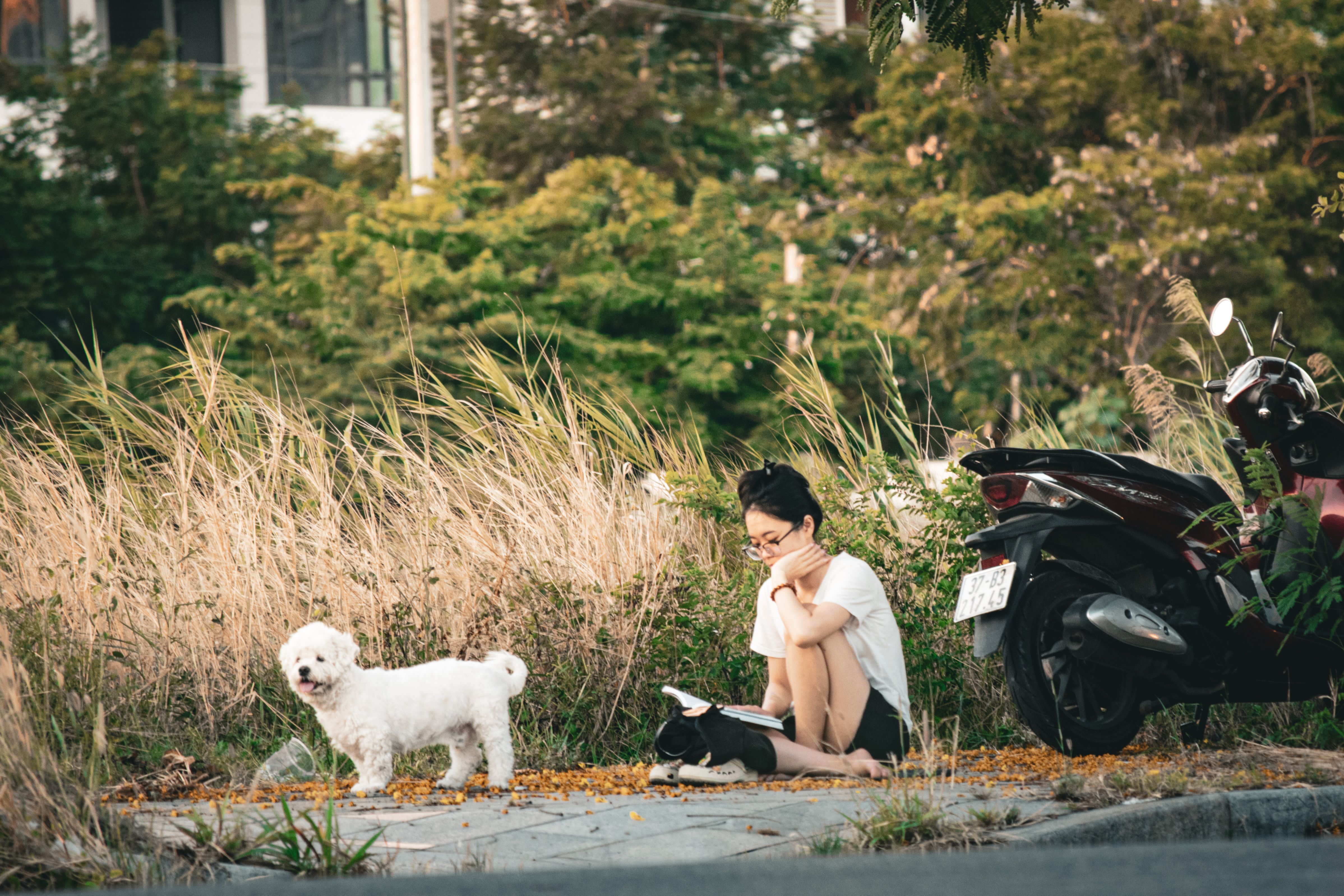 Apprendre le rappel à son chien : méthode simple - Les erreurs fréquentes qui affaiblissent le rappel
