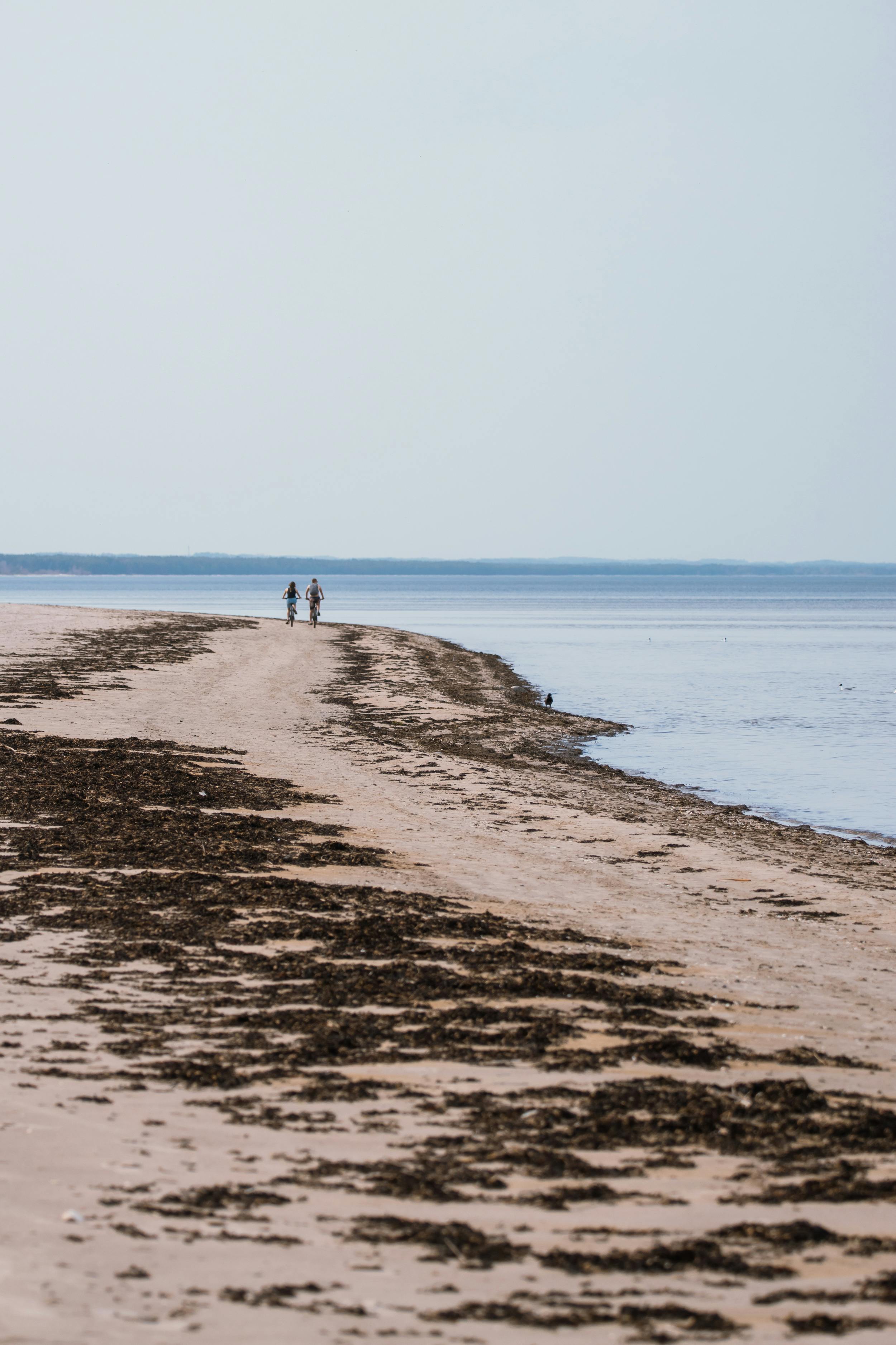 Two people enjoy a peaceful walk along the sandy seashore of Ragaciems, Latvia.