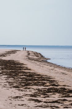 Two people enjoy a peaceful walk along the sandy seashore of Ragaciems, Latvia.