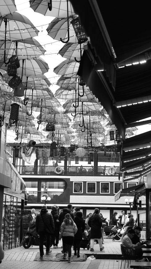 Free Monochrome view of a bustling street with hanging umbrellas decorating overhead. Stock Photo