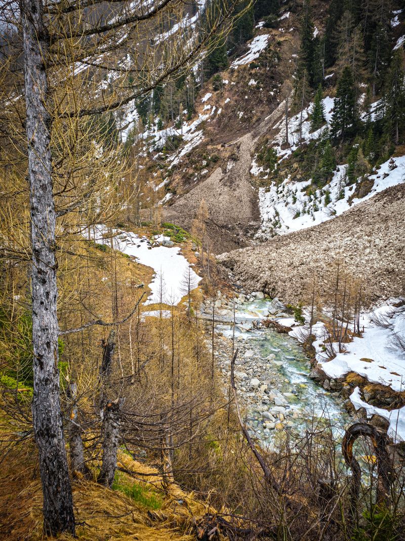 A serene mountain stream flowing through a snowy, wooded landscape in early spring