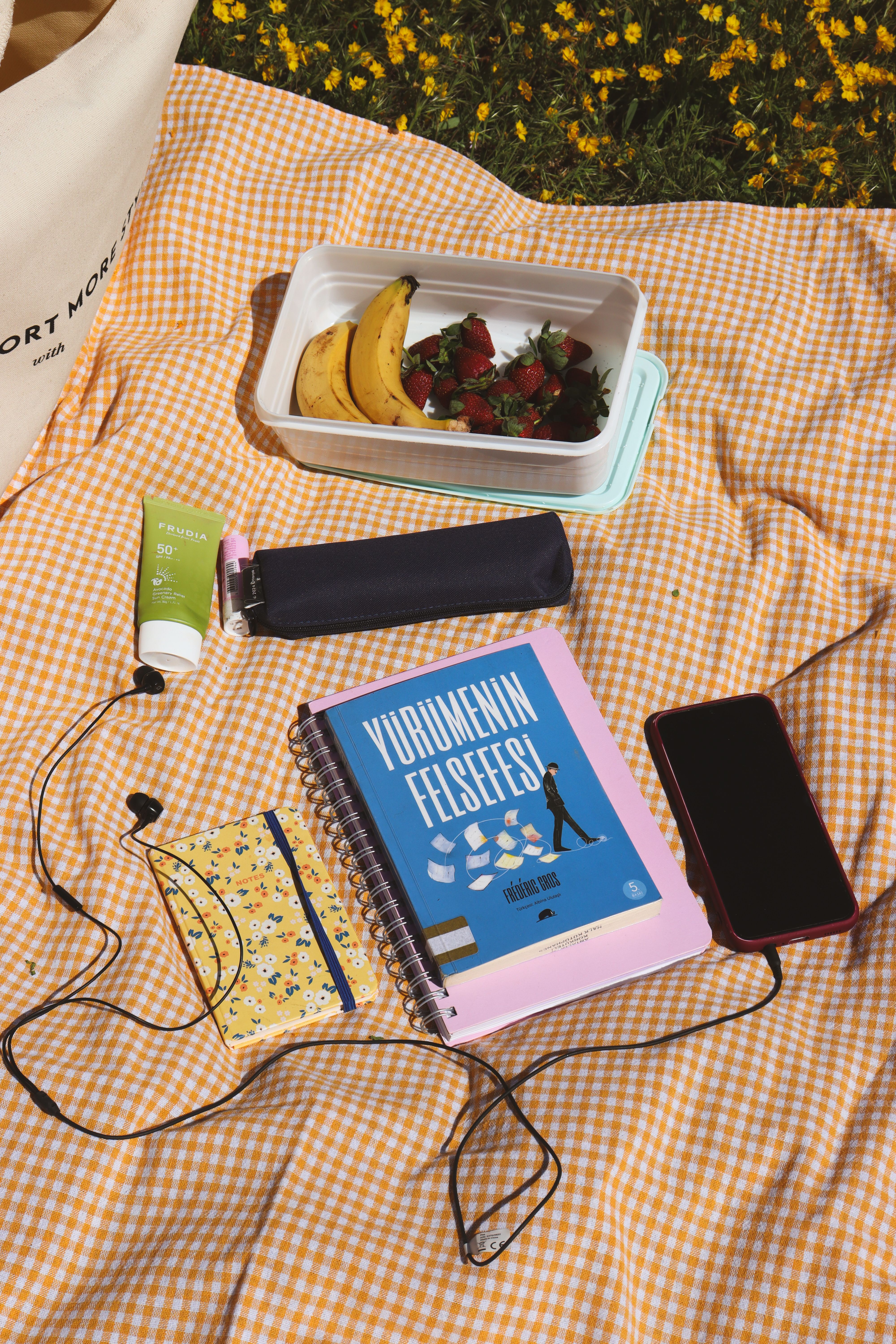 Flat lay of picnic items on a checkered blanket with fruit, book, and headphones under sunlight.