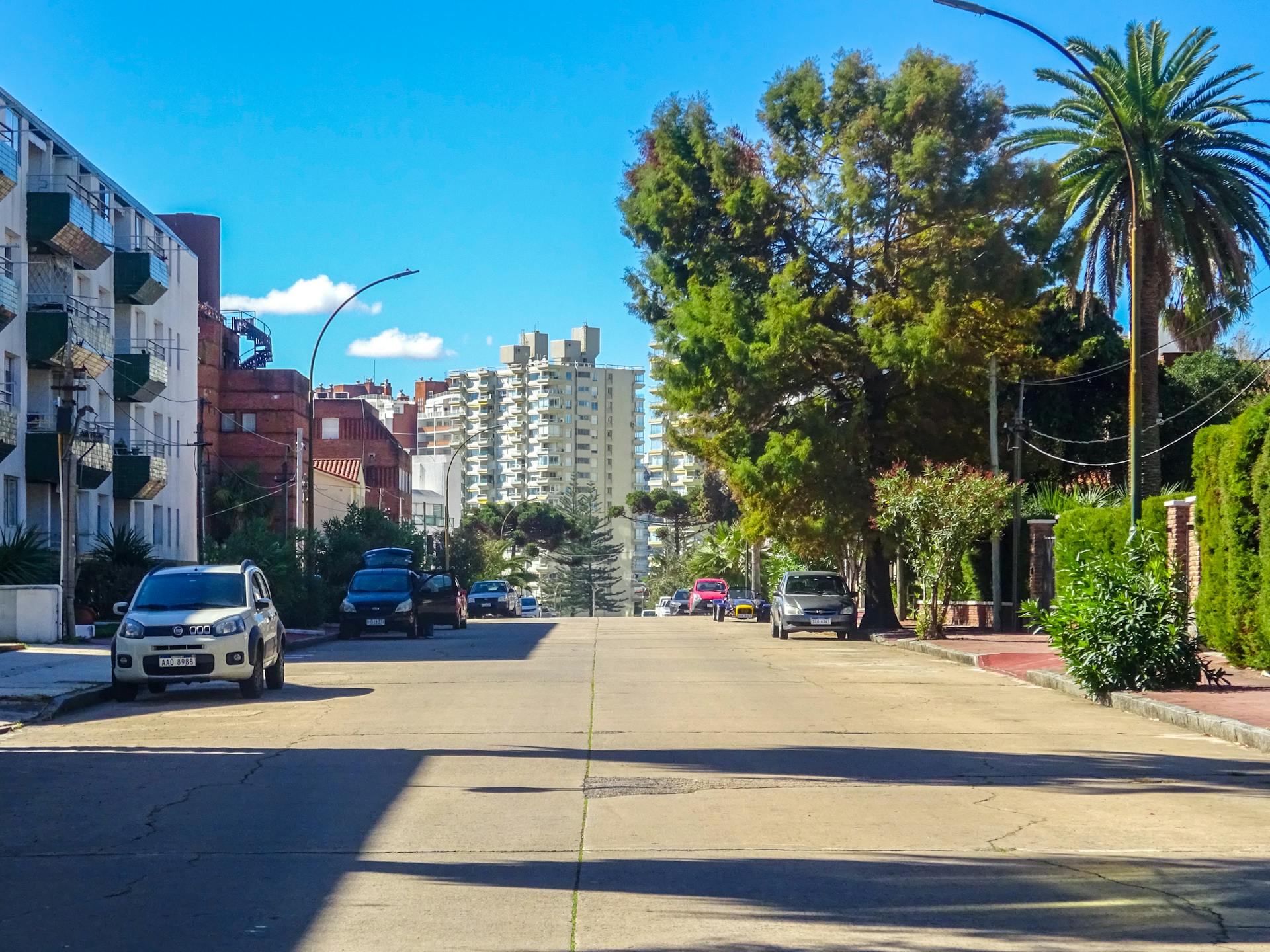 A sunny street view in Punta del Este, Uruguay, featuring parked cars and lush trees.