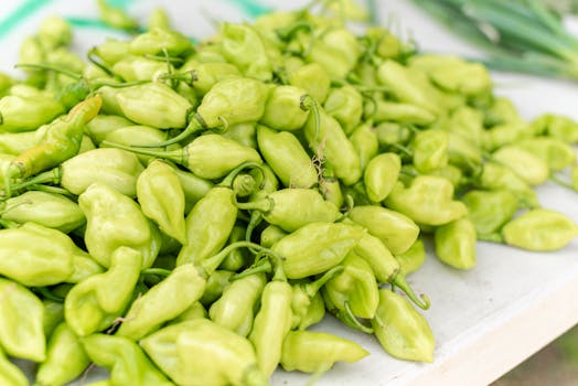 Trinidad Pimento Pepper - peppers any how
