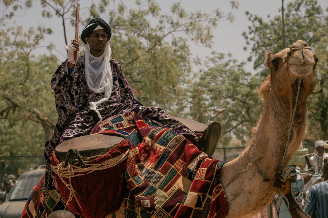 African Riding Wheel Traditional African Rider on Decorated Camel · Free Stock Photo
