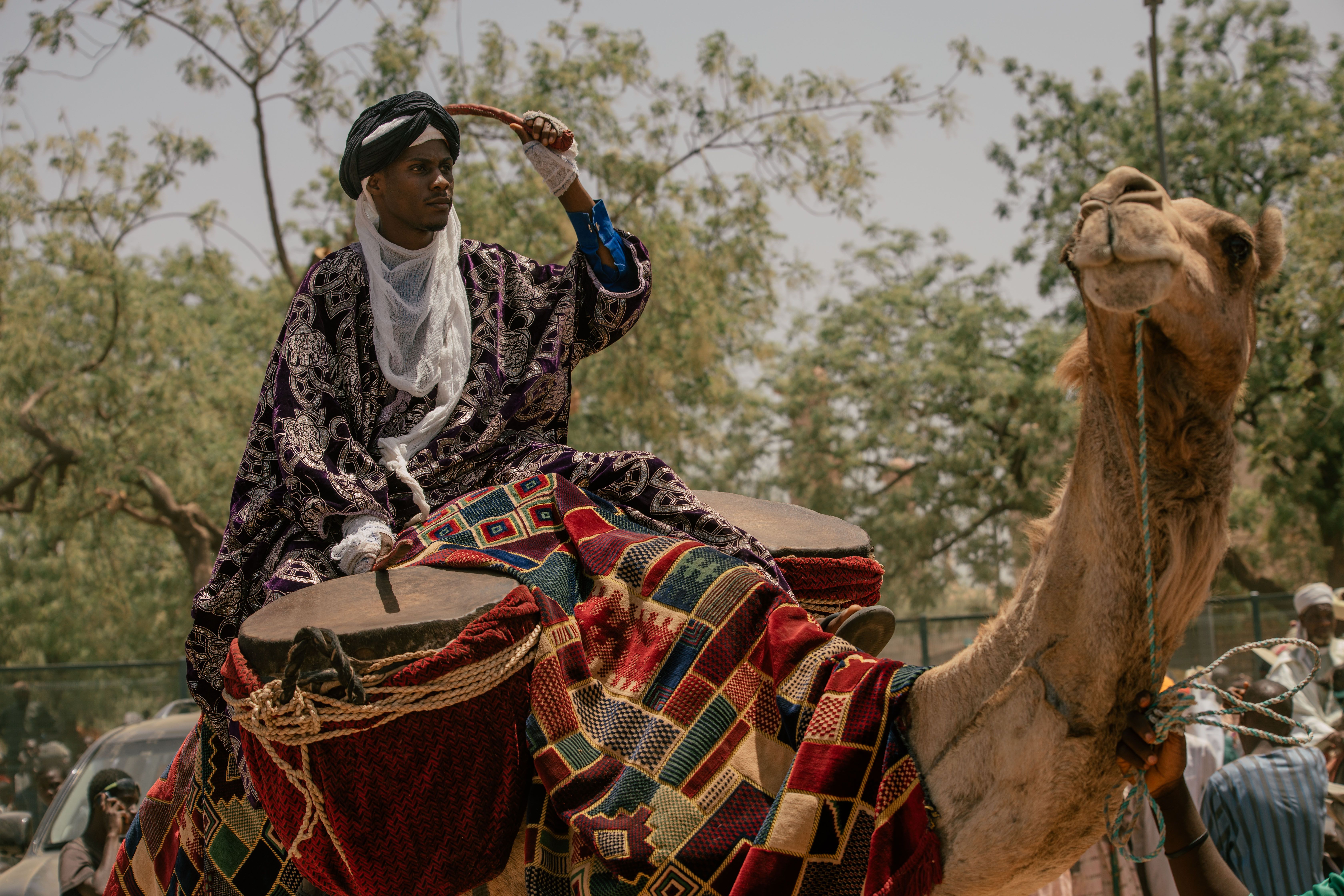 Man in Traditional Clothing Riding a Decorated Camel · Free Stock Photo