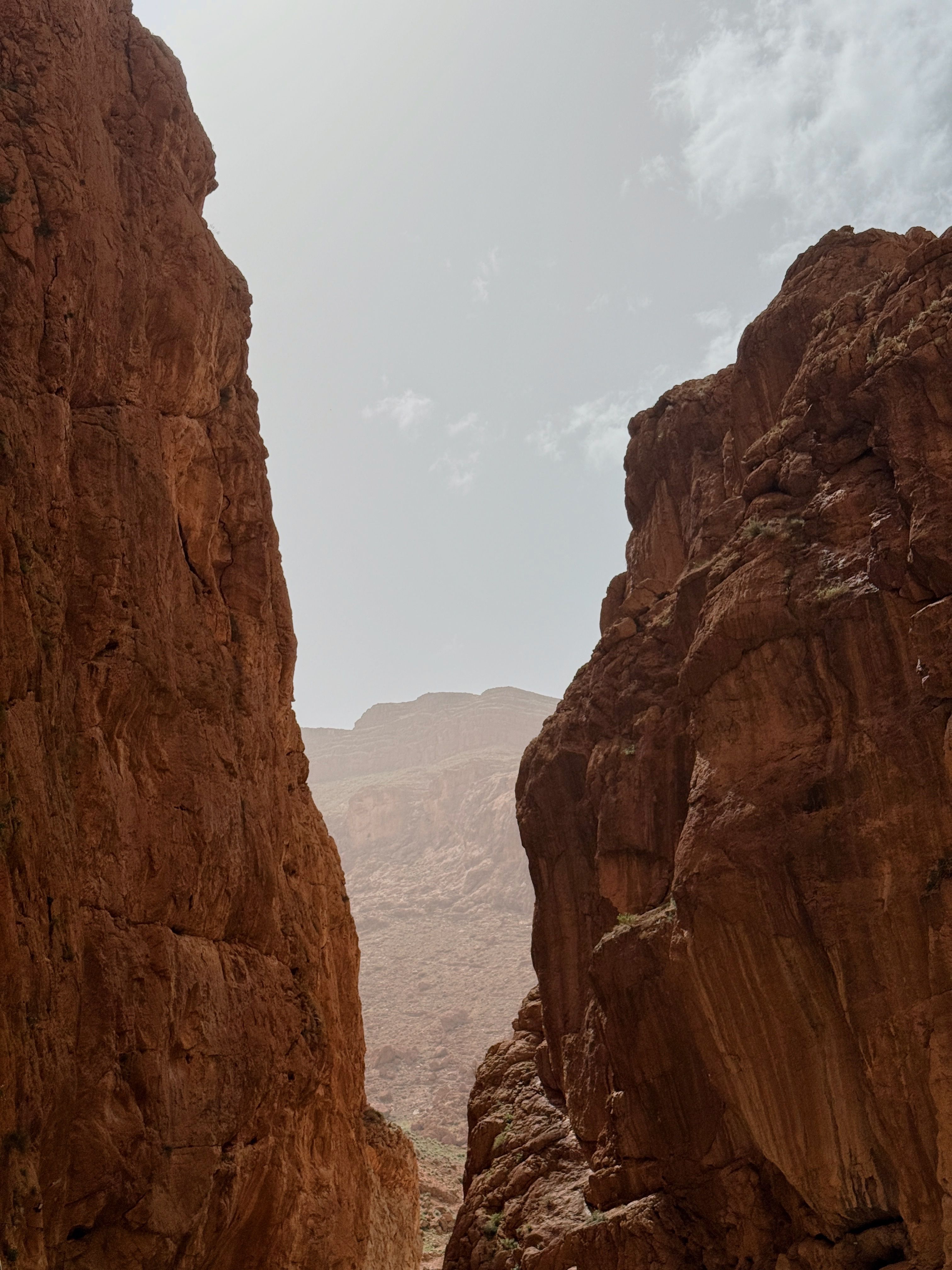 Atlas Mountain Trek with Berber Guide 3