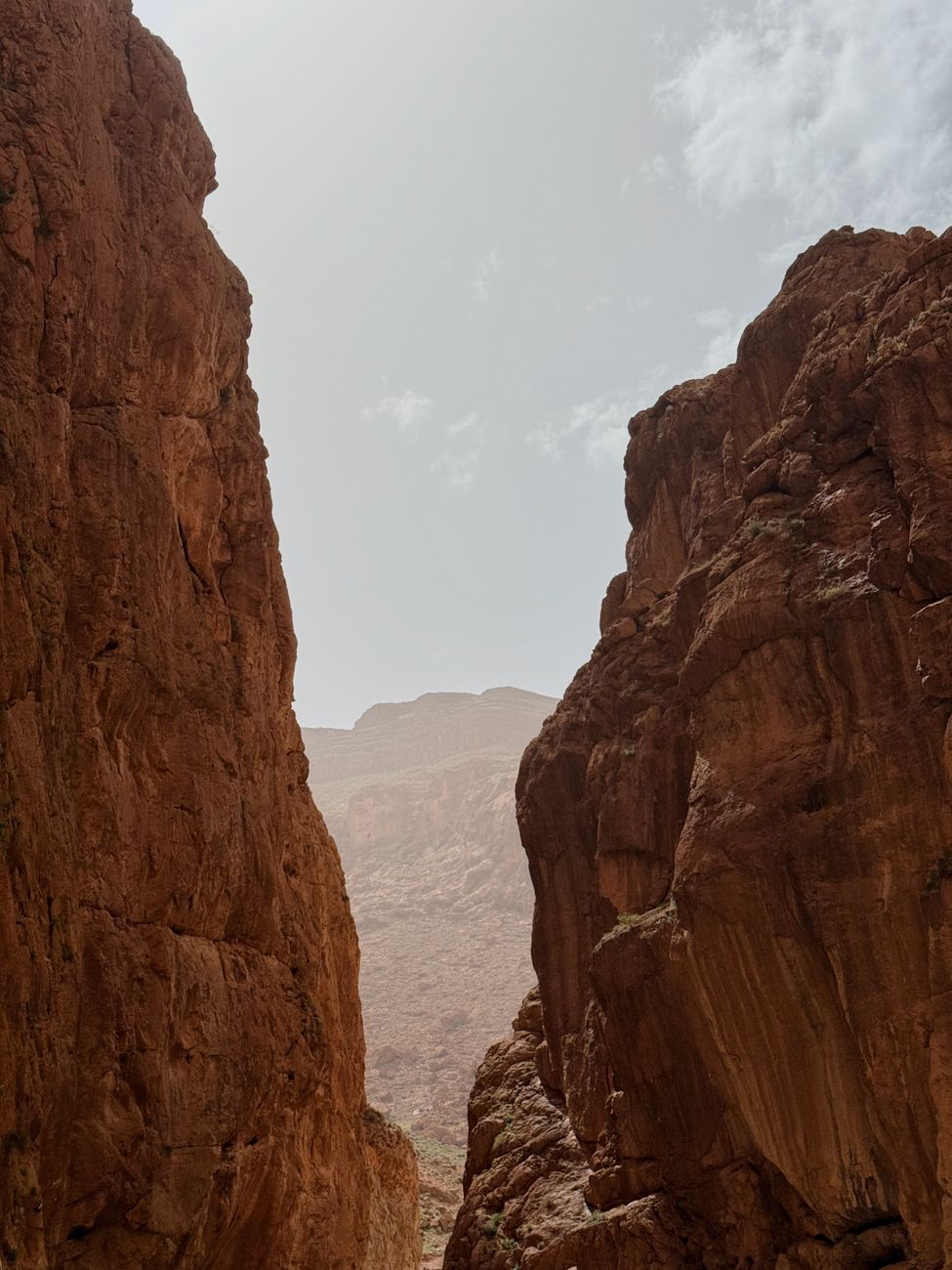 Atlas Mountain Trek with Berber Guide 3