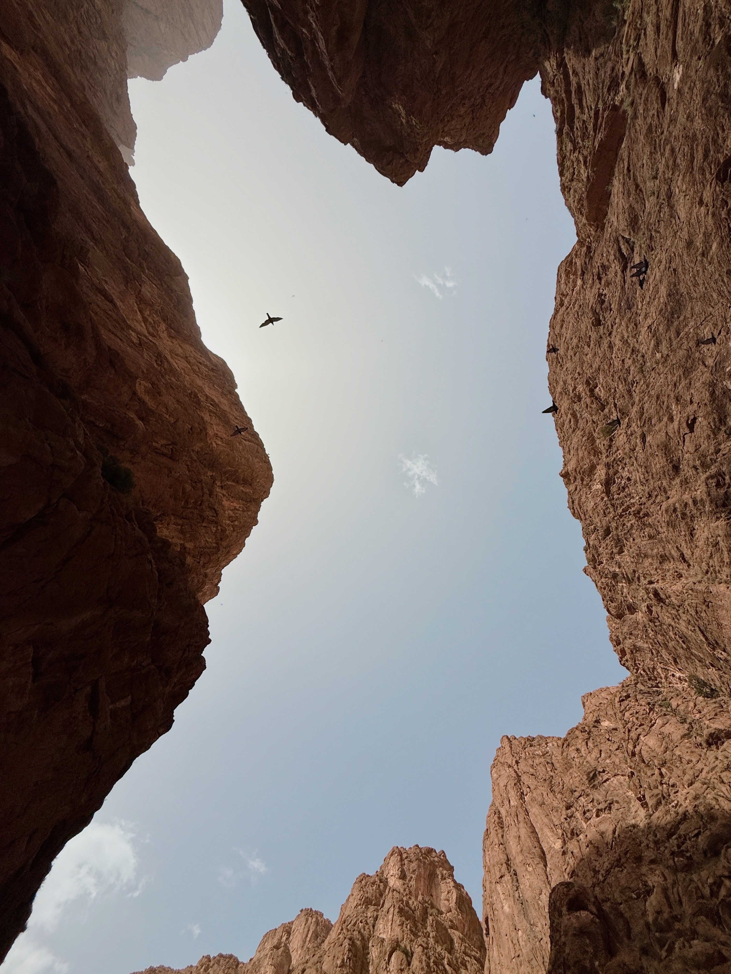 Todgha Gorges