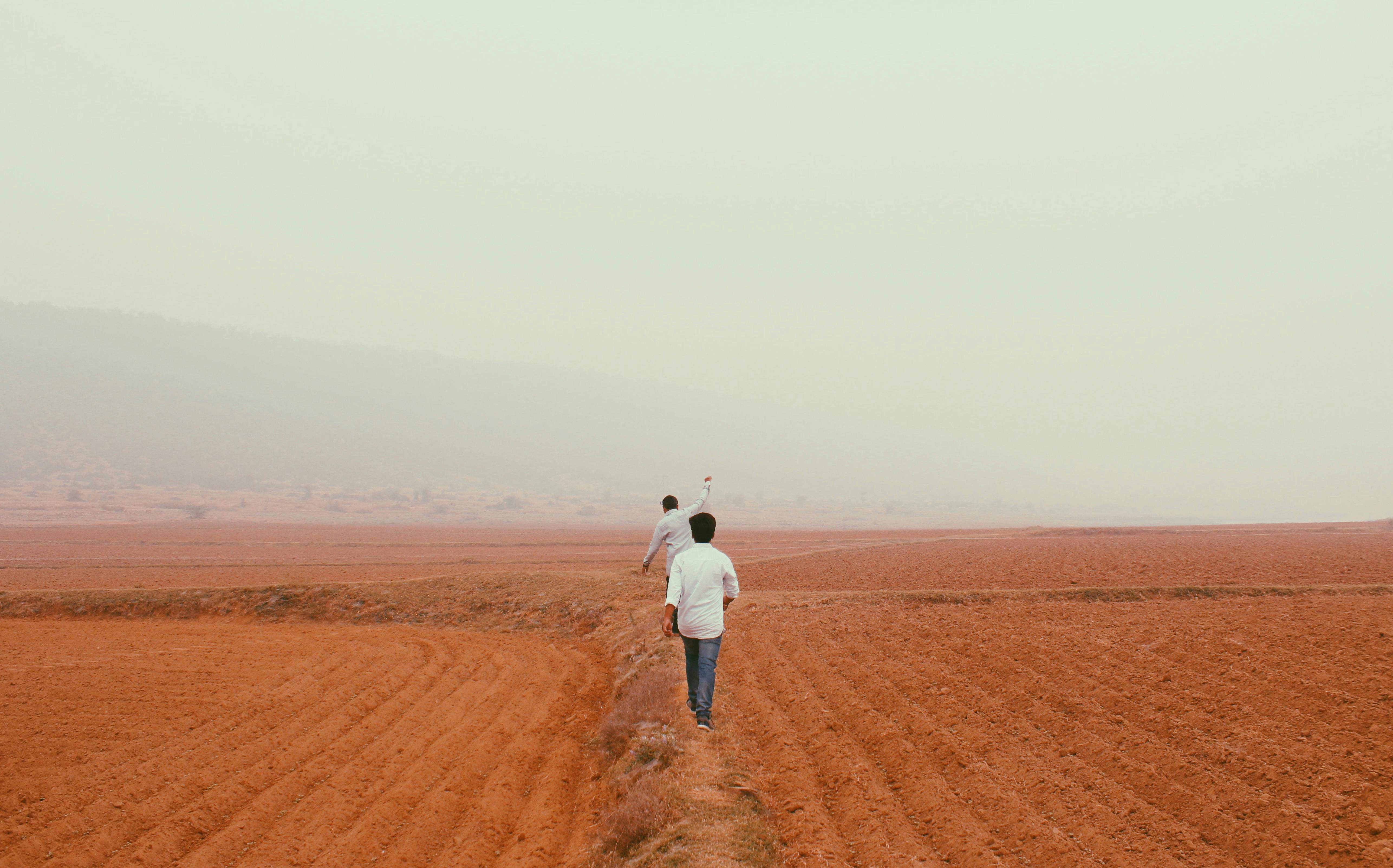 薄雾覆盖的农田上，两个人走过，象征着探索与宁静