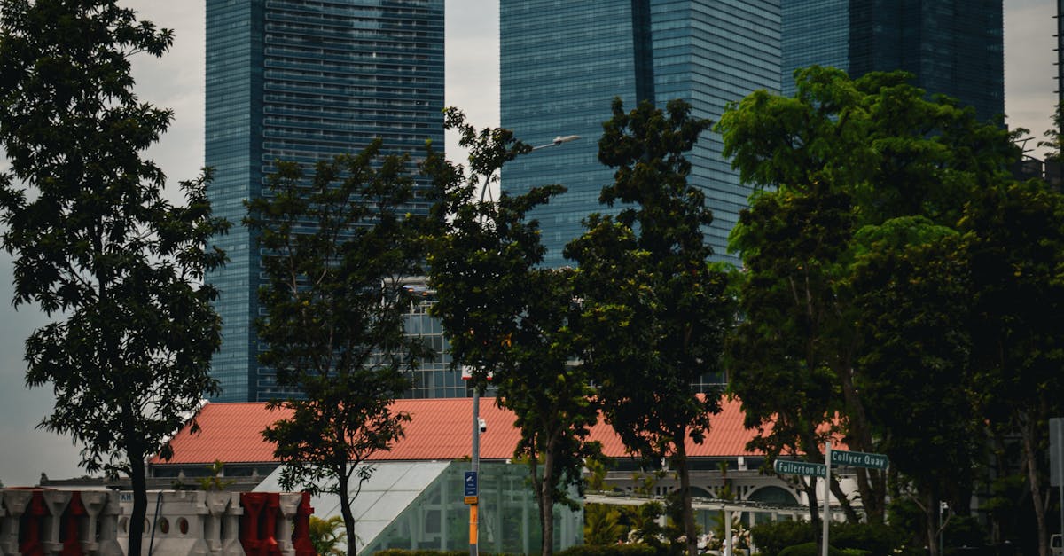 標普連3年給台灣主權信評「AA+」!債務少盈餘多,經濟表現亮眼