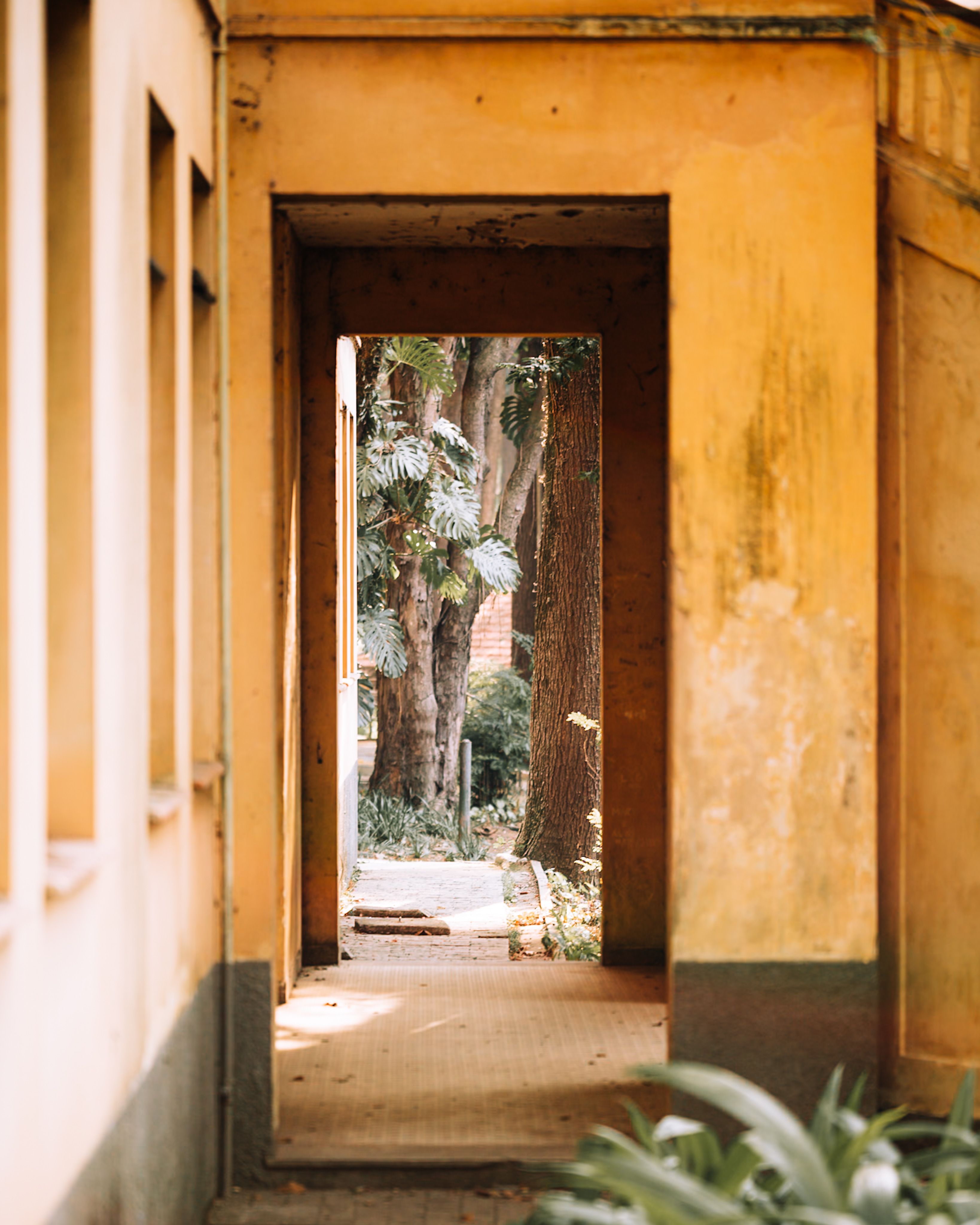 Corridor Doorway Photos, Download The BEST Free Corridor Doorway Stock