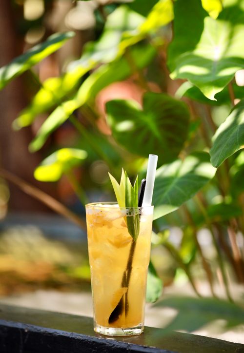 Free Chilled tropical cocktail in a glass with pineapple garnish, set against lush greenery. Stock Photo