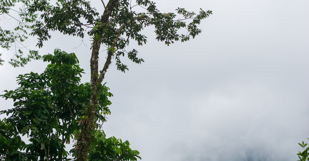 Global Mall屏東市四月推「綠生活+1」,一起擴大地球月影響力!