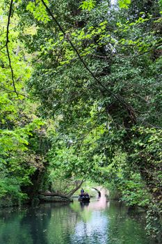 Serene boat ride through a lush, green landscape with dense trees and reflective waters.