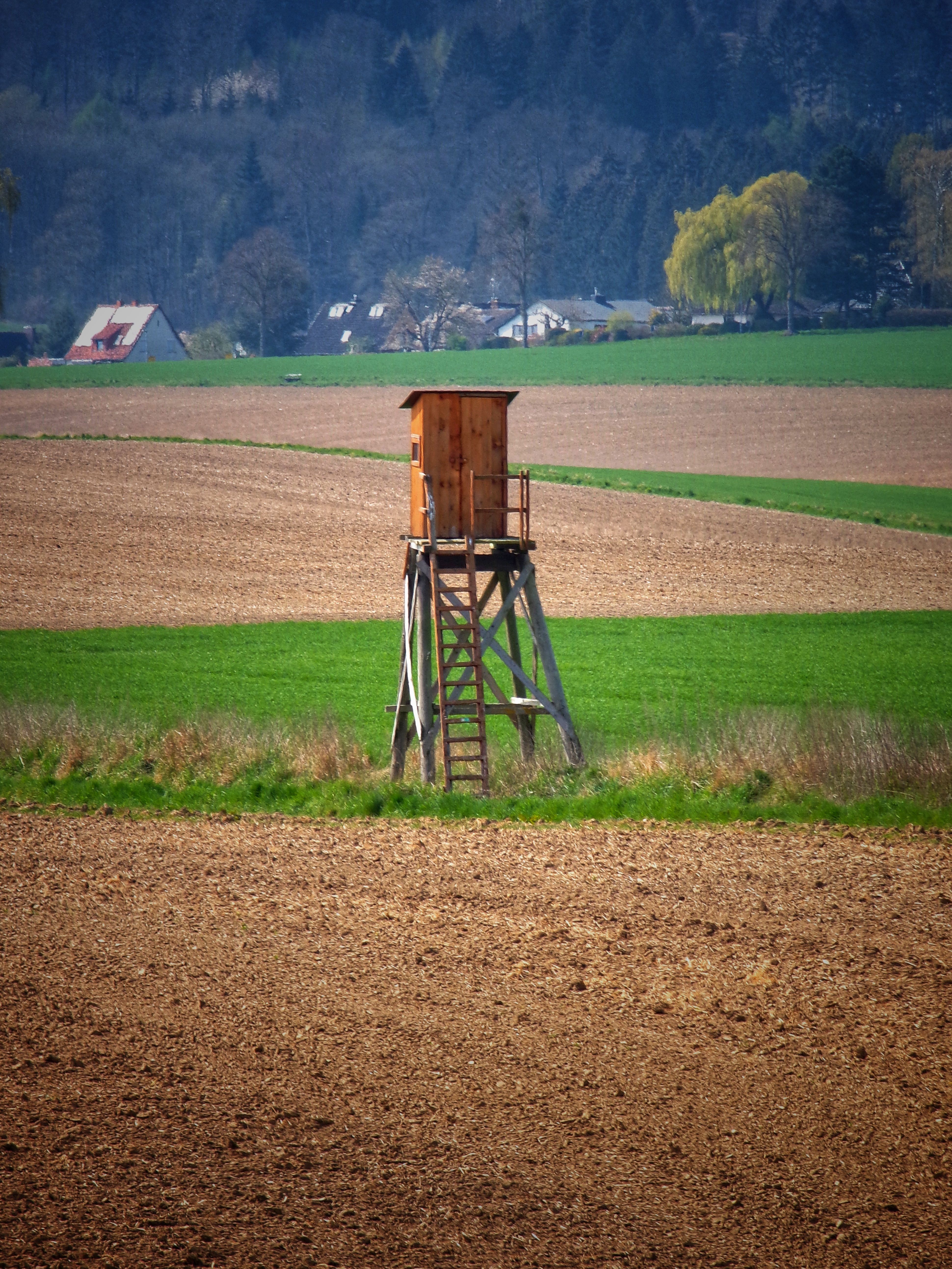 Rustic Hunting Stand in Verdant German Landscape · Free Stock Photo