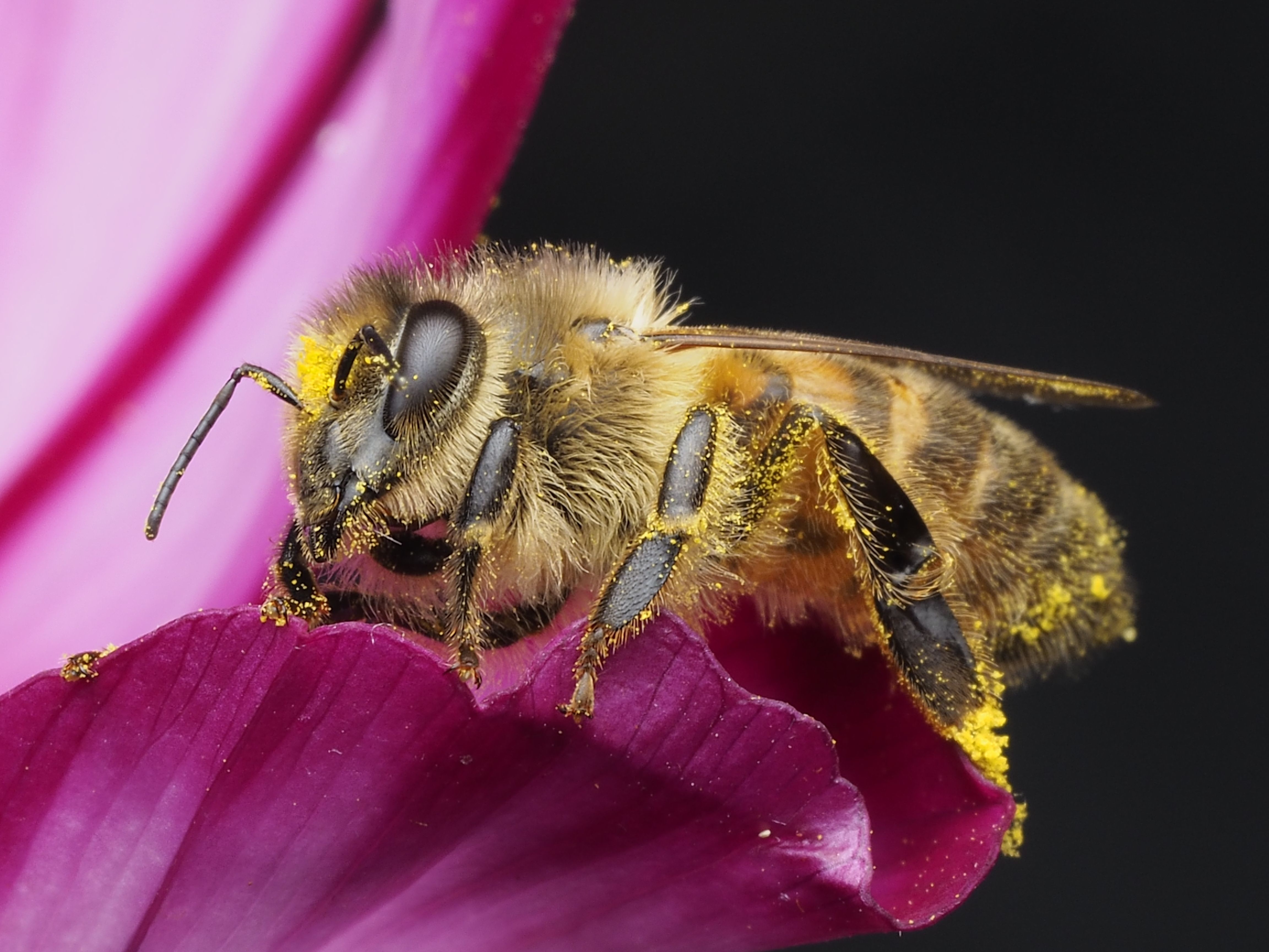cohere api