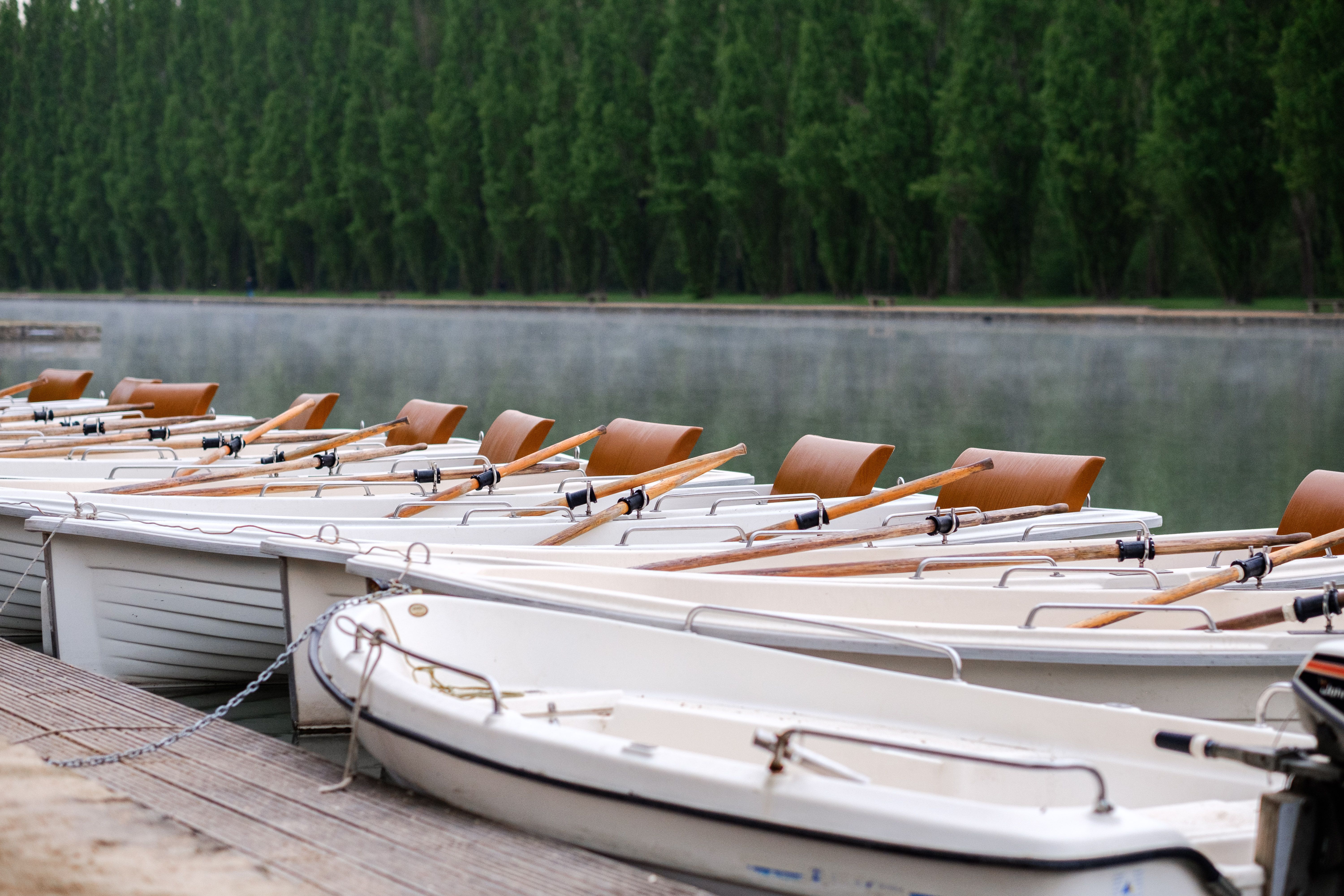 Wooden rowboats moored on a serene lake with a backdrop of lush green trees, ideal for outdoor recreation.