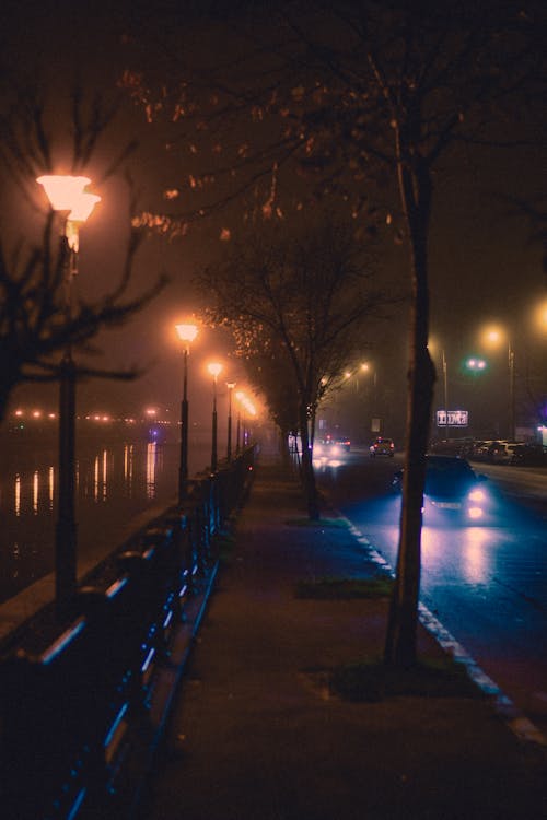 Free stock photo of bokeh, city lights, fog