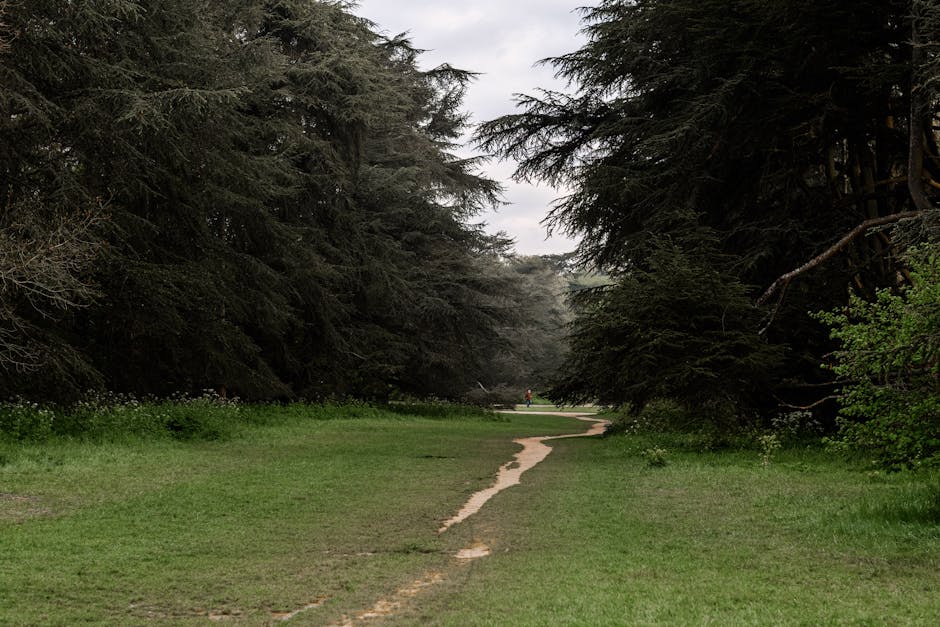 Transforming Blame Into A Path To Accountability. 15 Lessons Learned From Successful Accountability Practices