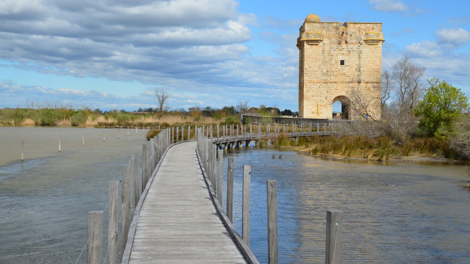 Tour historique et passerelle en bois en Petite Camargue