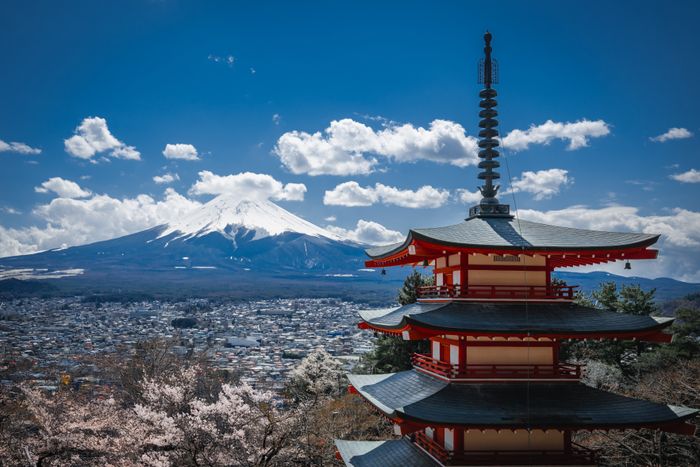 Japan experience