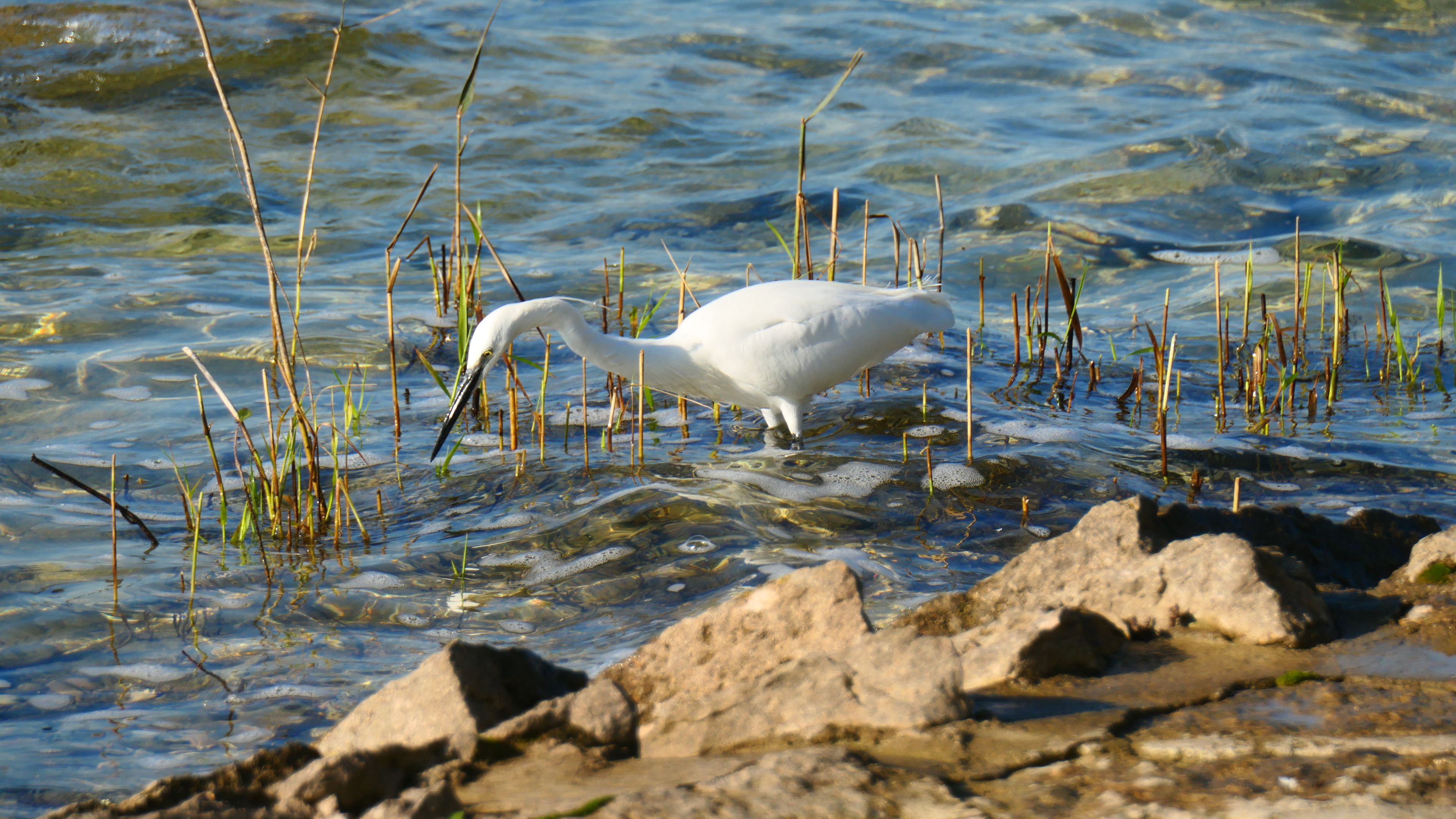 Parco del Delta del Po (Cervia Sector)