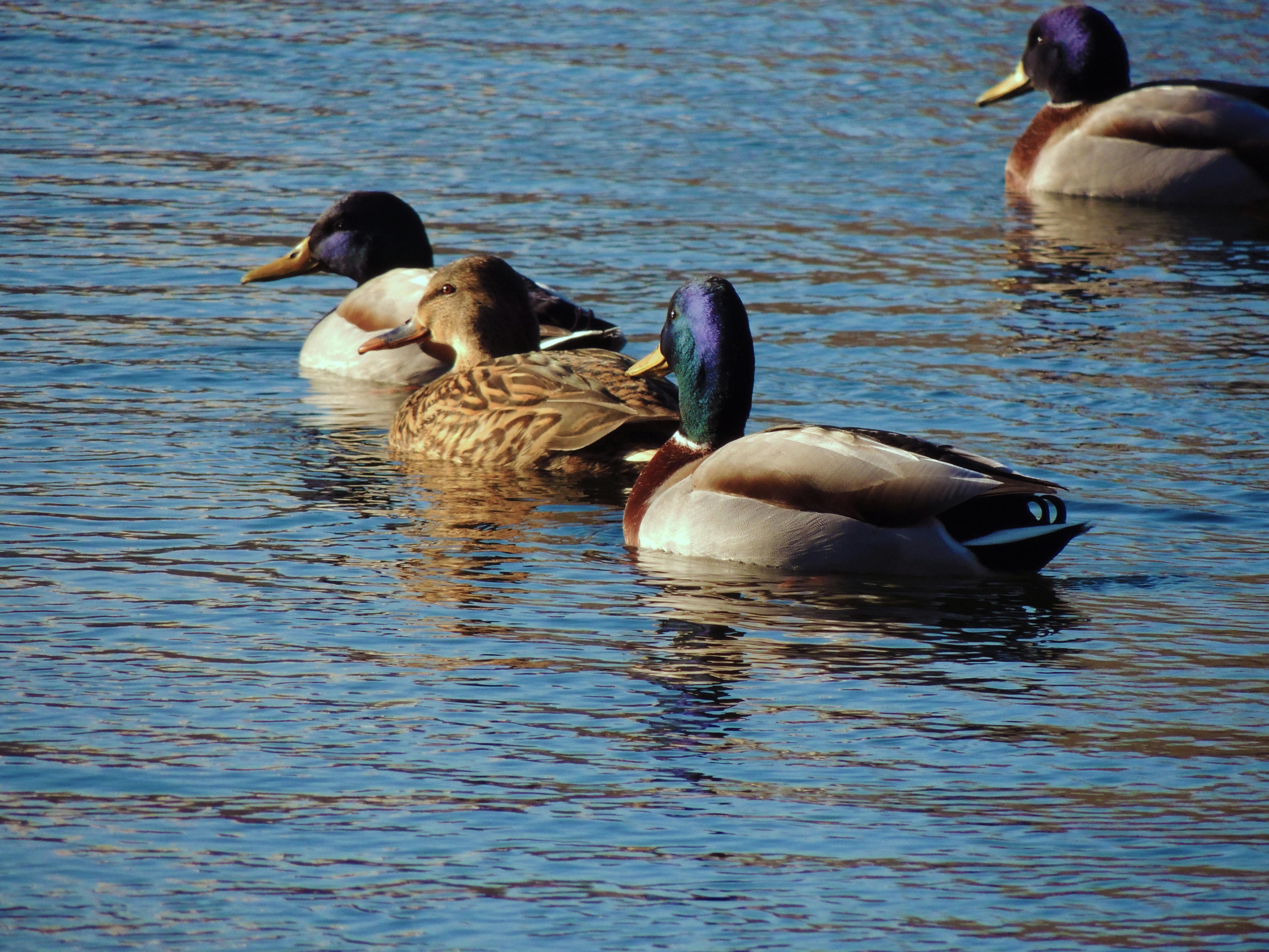 다양한 문화권의 결혼식 풍경