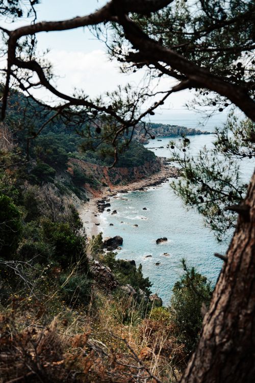 Free Explore a breathtaking coastal landscape framed by pine trees and rocky cliffs. Stock Photo