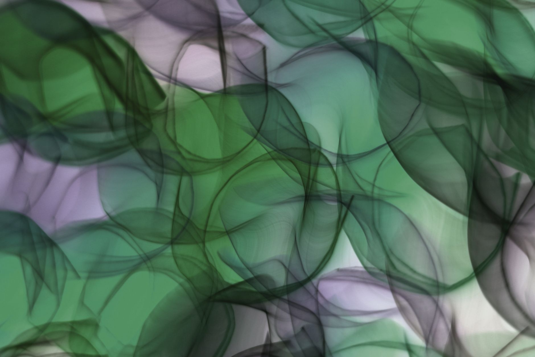 Calling Out the Smoke: Why AI Transparency Can't Wait