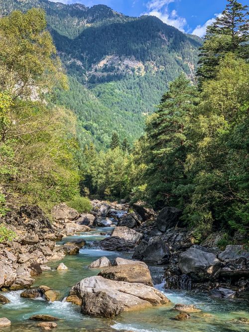 Free Beautiful river flowing through lush forest in mountain landscape. Stock Photo