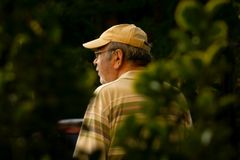 Senior man wearing a cap surrounded by greenery, enjoying a peaceful moment in nature.