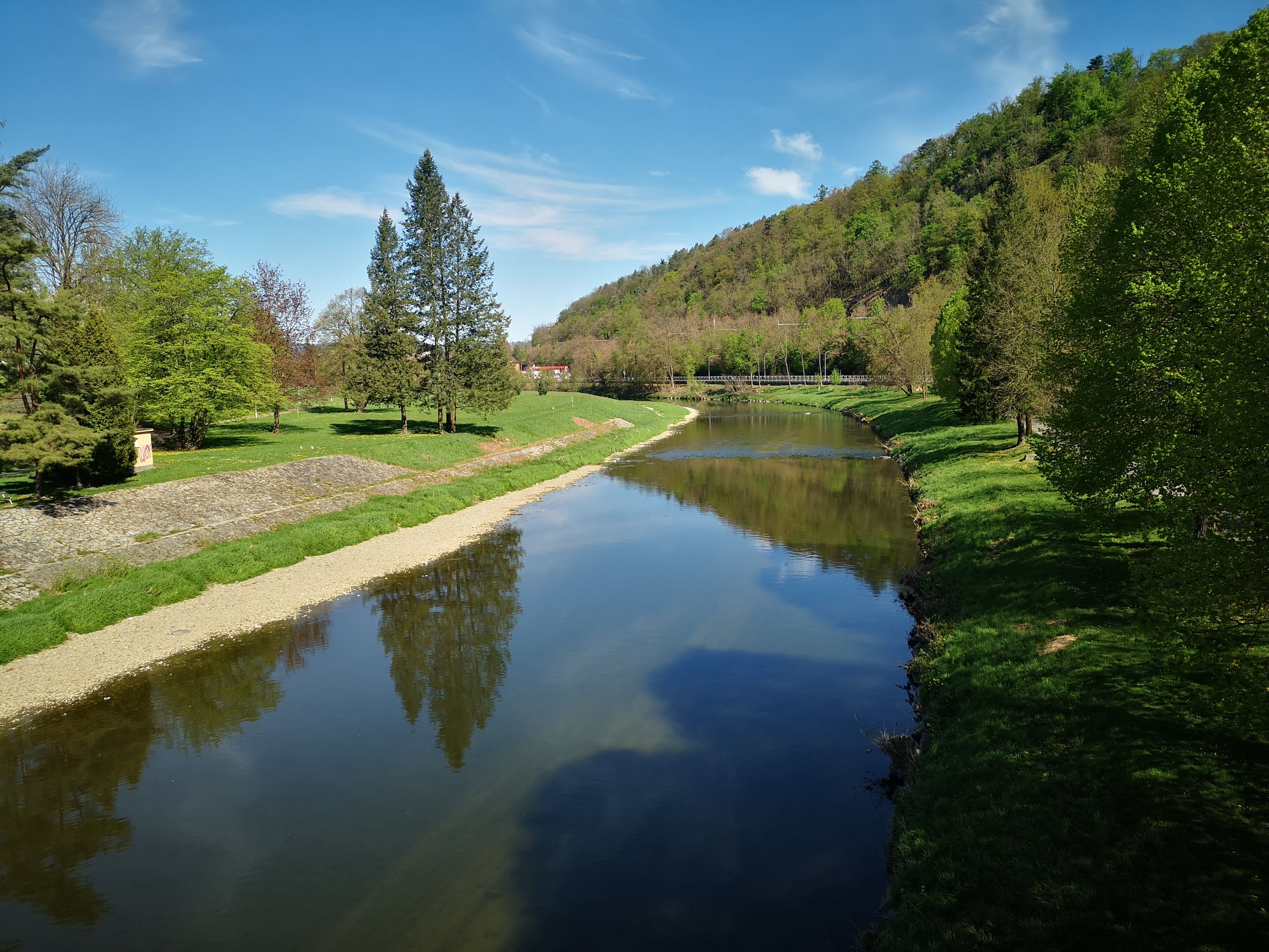 Serene River Landscape with Lush Greenery · Free Stock Photo