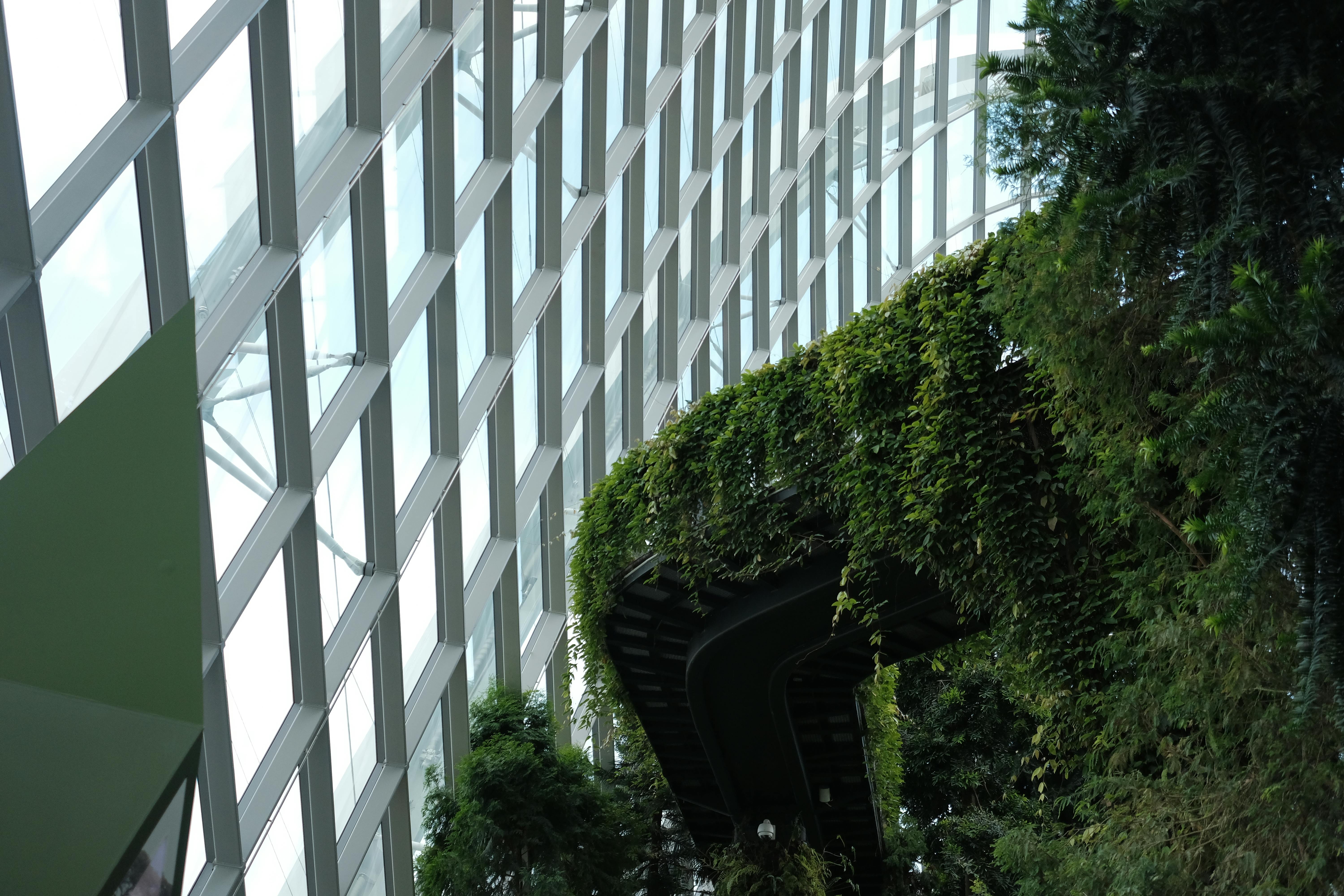 Landscapers Singapore