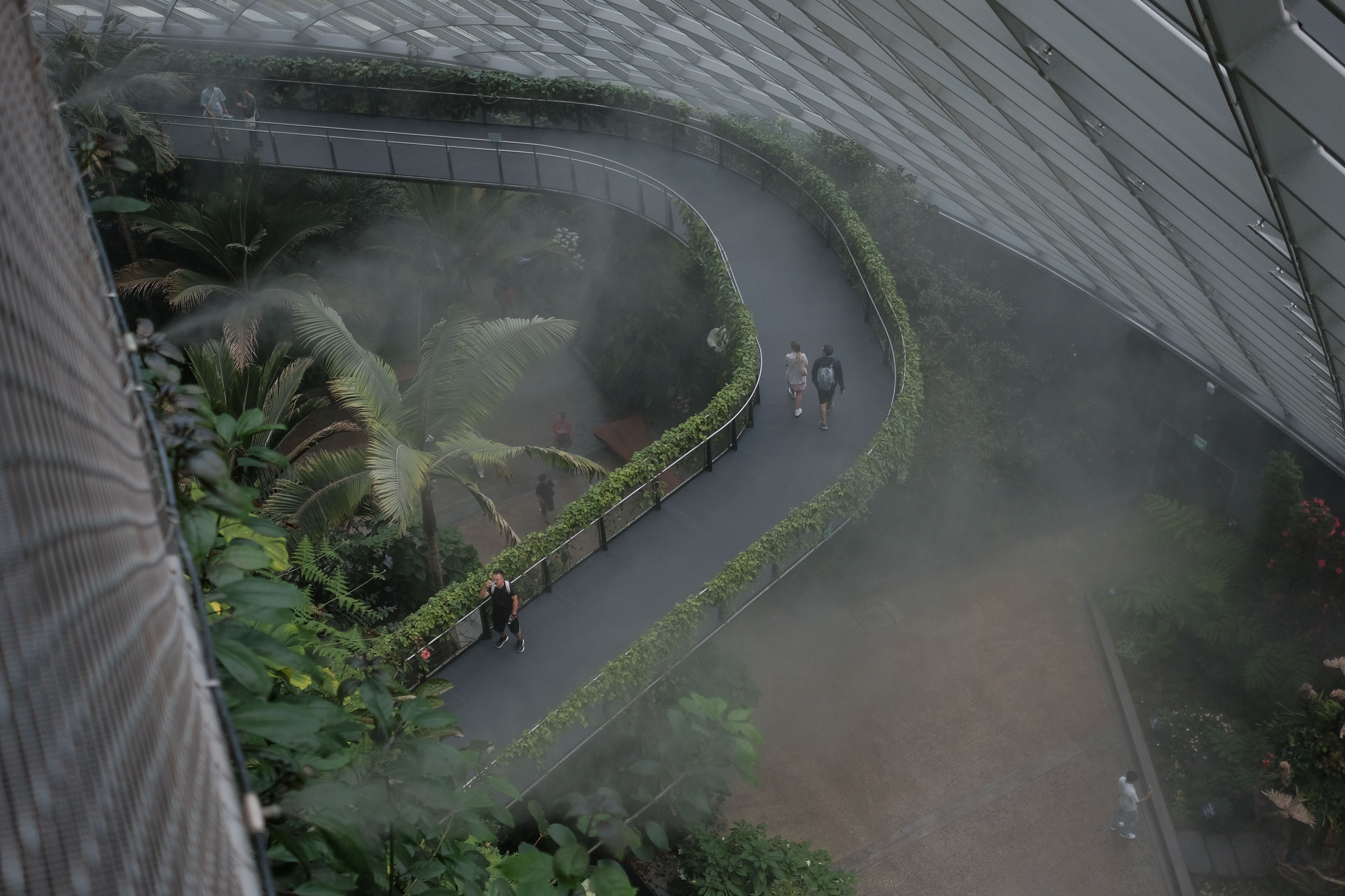 Explore the misty Cloud Forest walkway at Gardens by the Bay in Singapore.