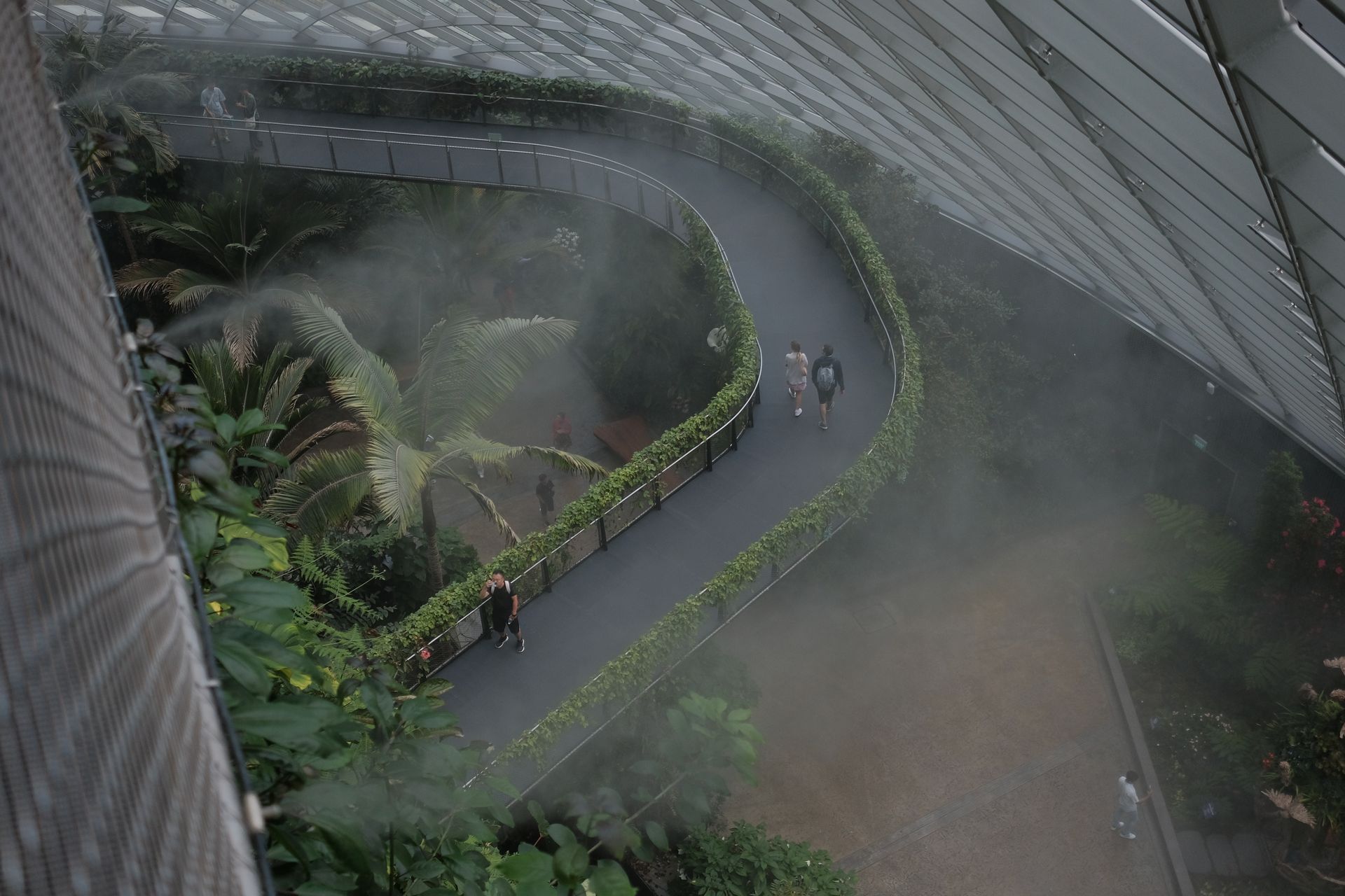 Explore the misty Cloud Forest walkway at Gardens by the Bay in Singapore.