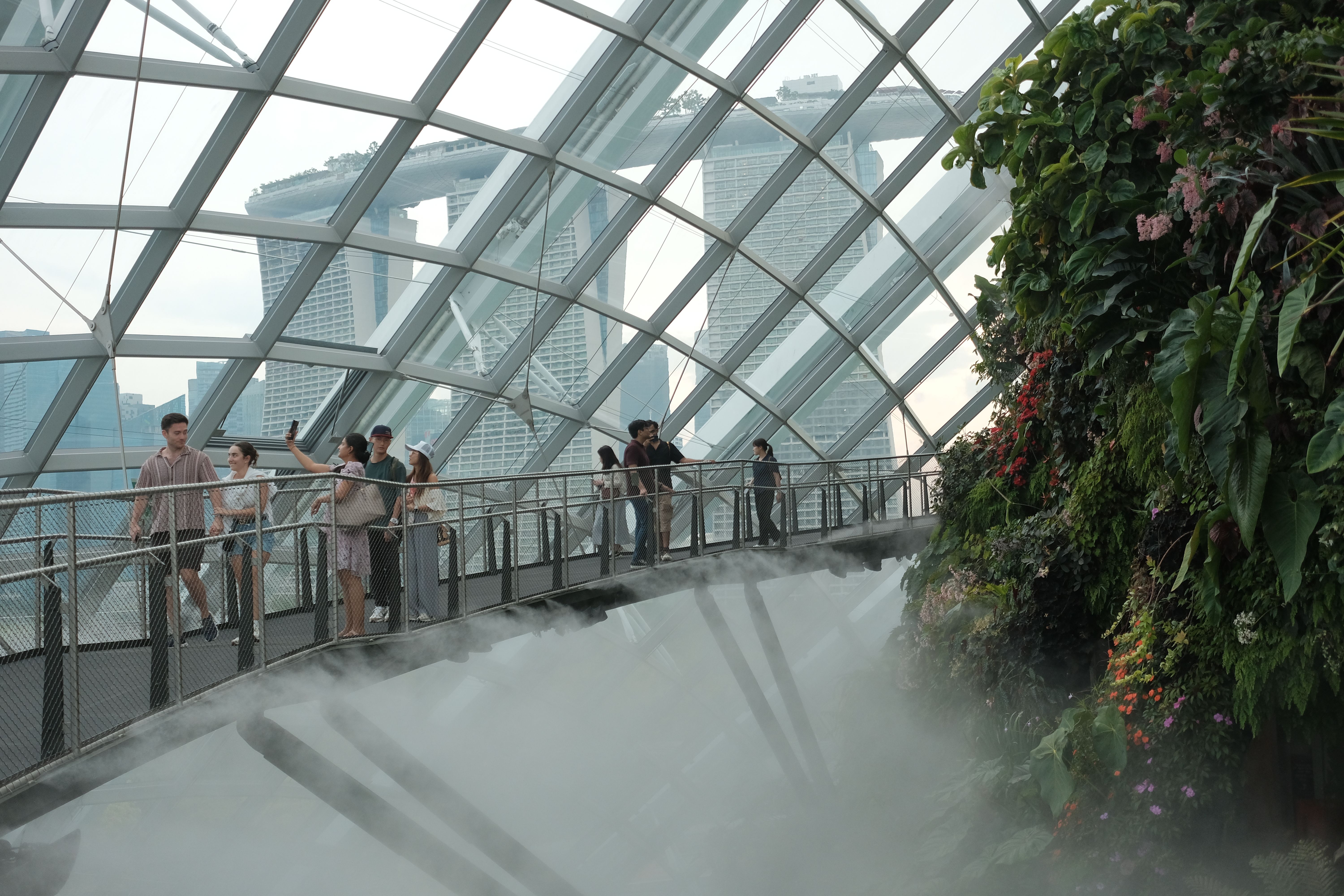 Cloud Forest